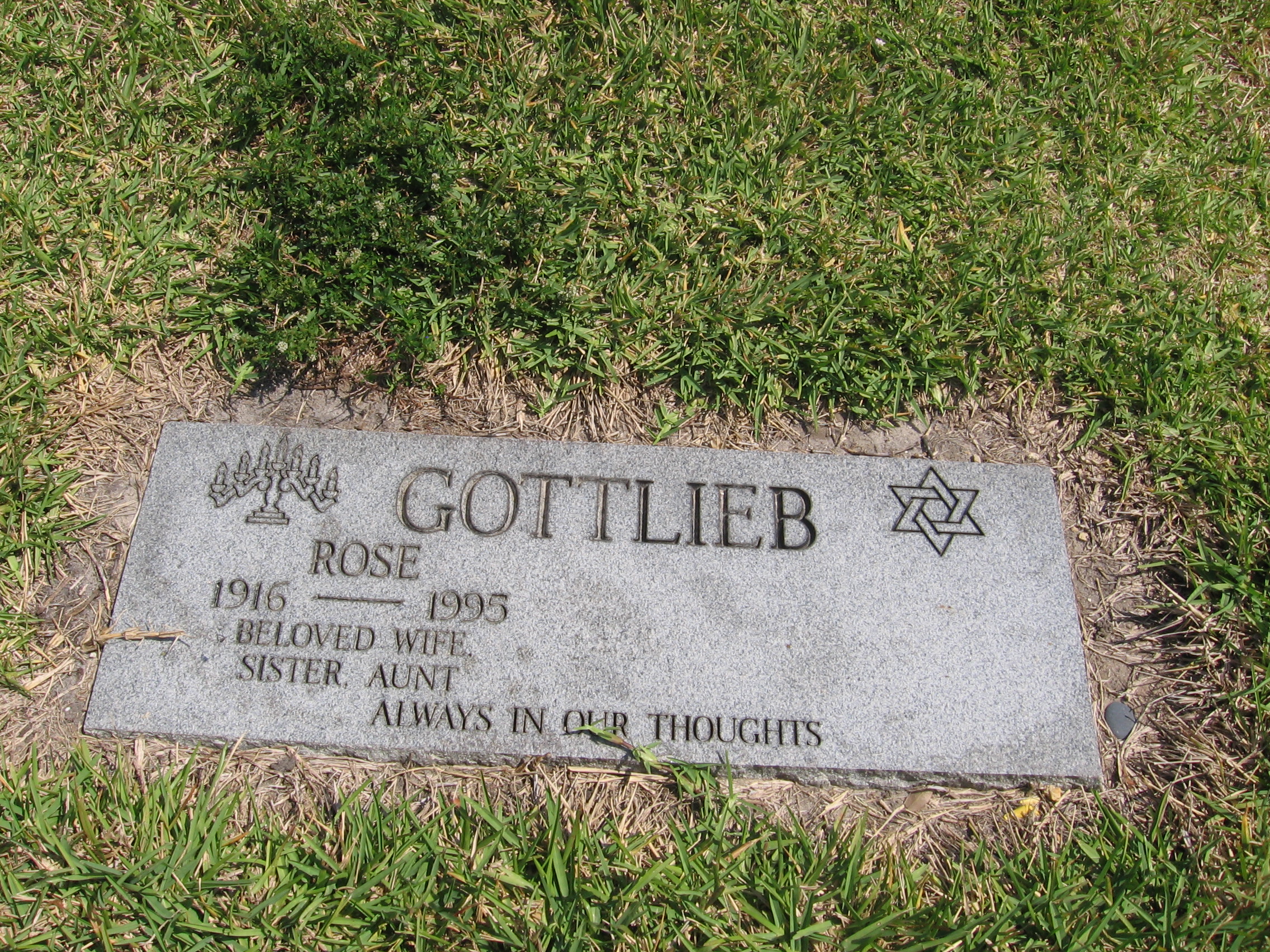 Rose Gottlieb
