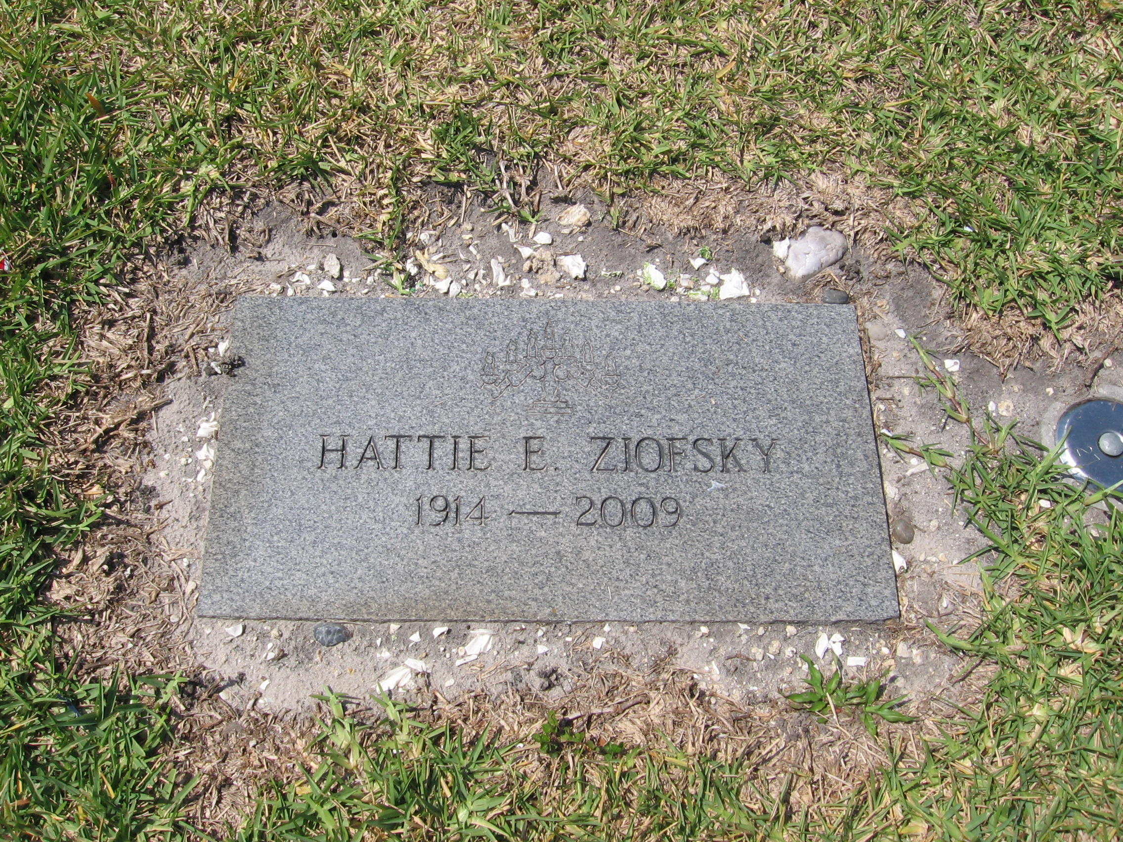 Hattie E Ziofsky