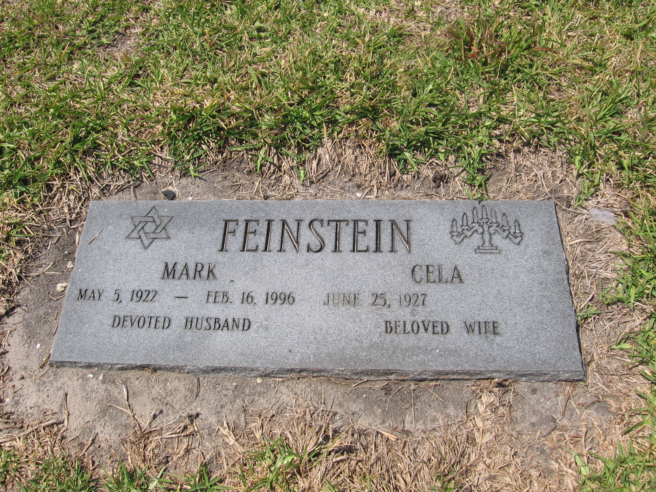Mark Feinstein