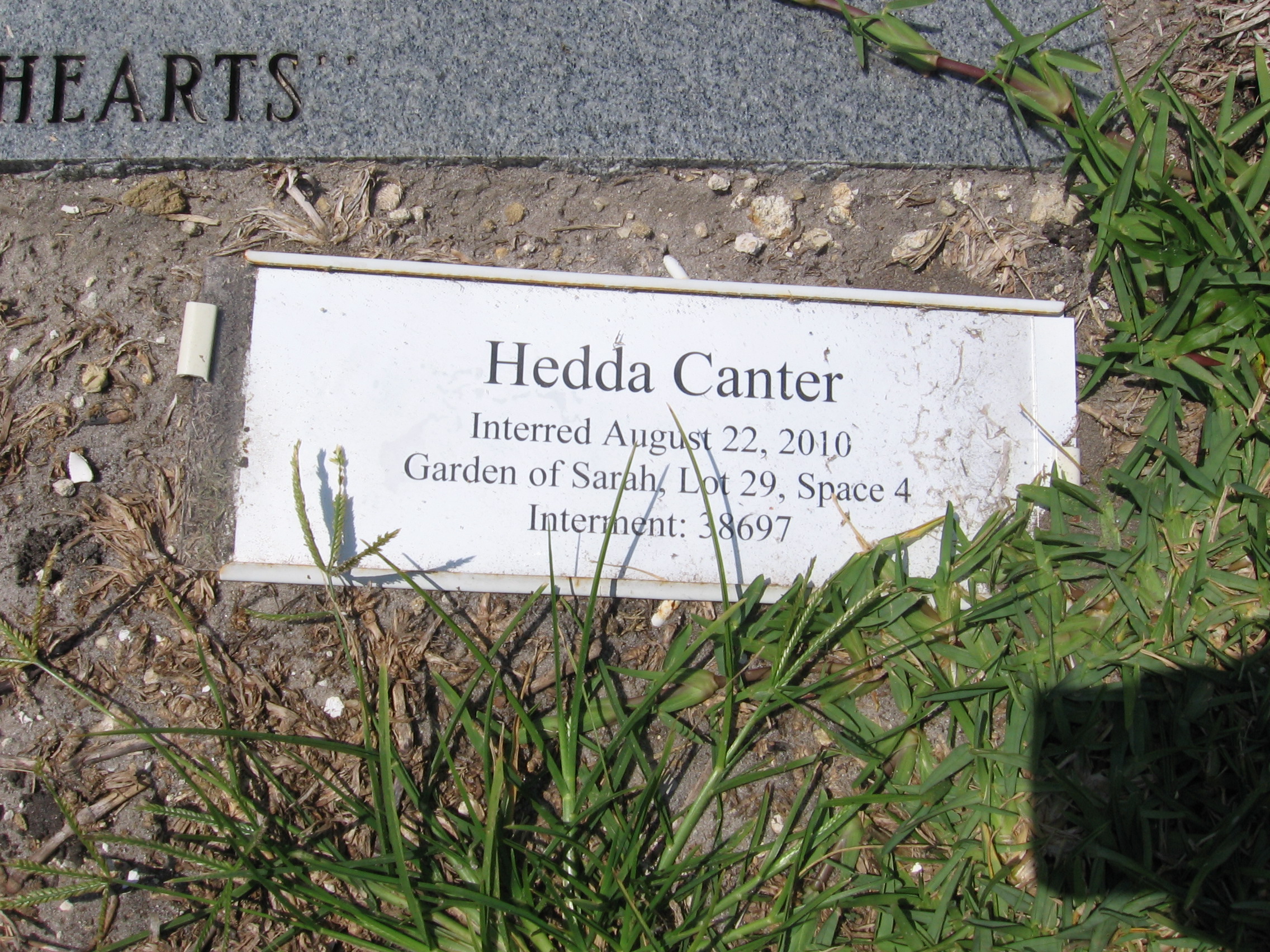Hedda Canter