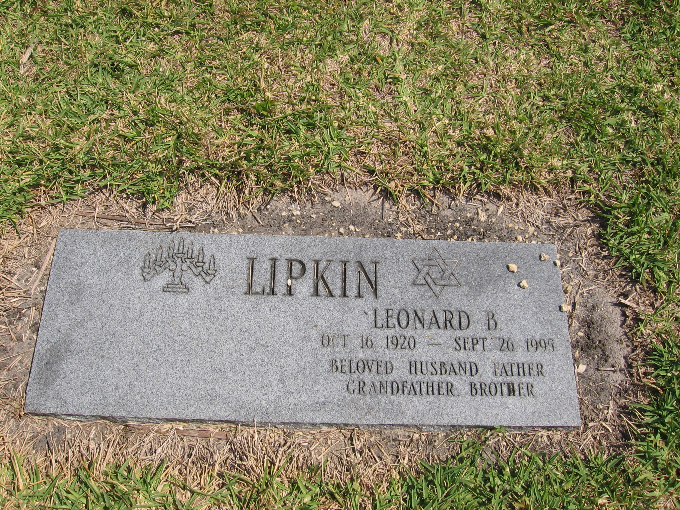 Leonard B Lipkin