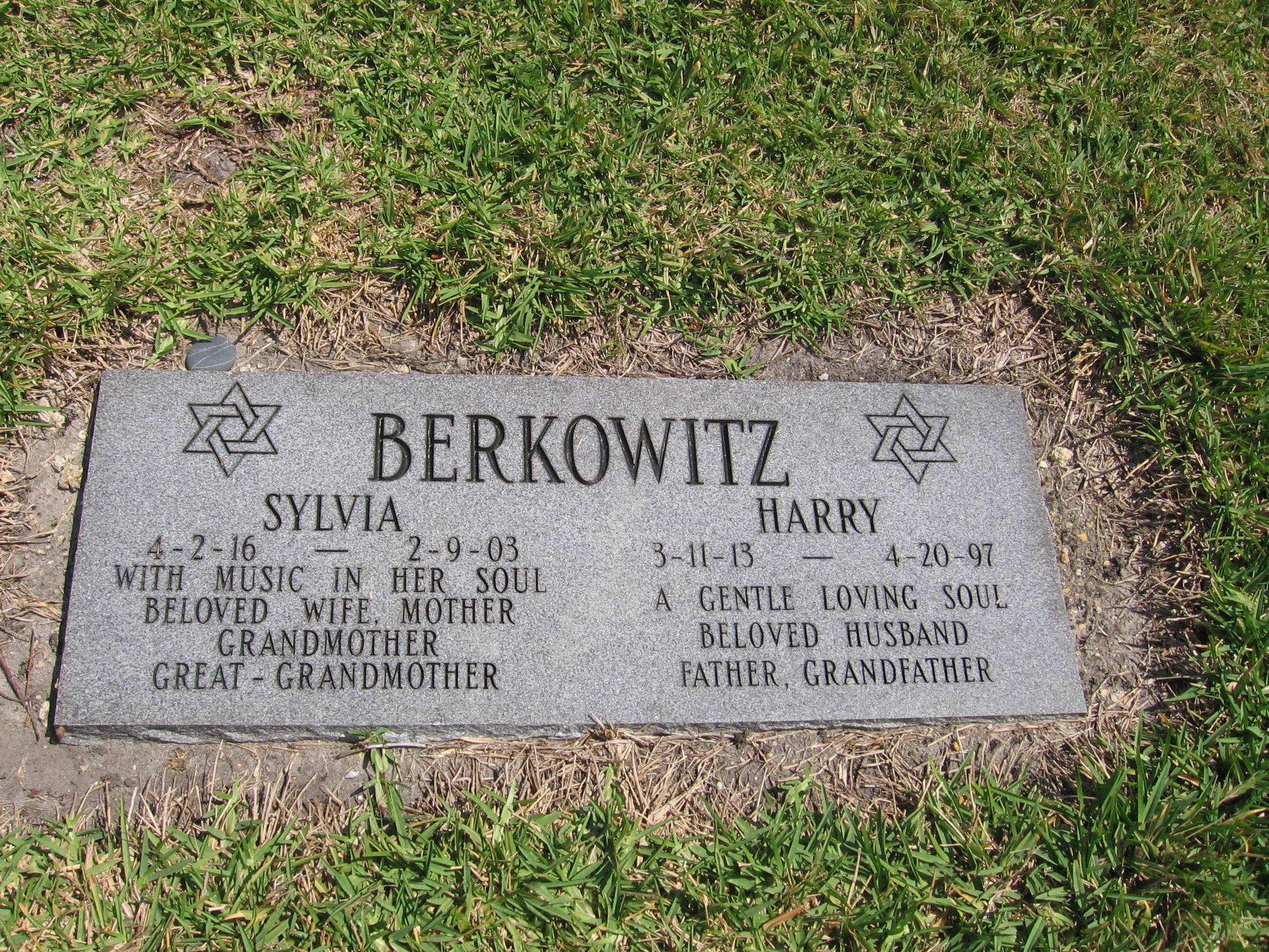 Harry Berkowitz