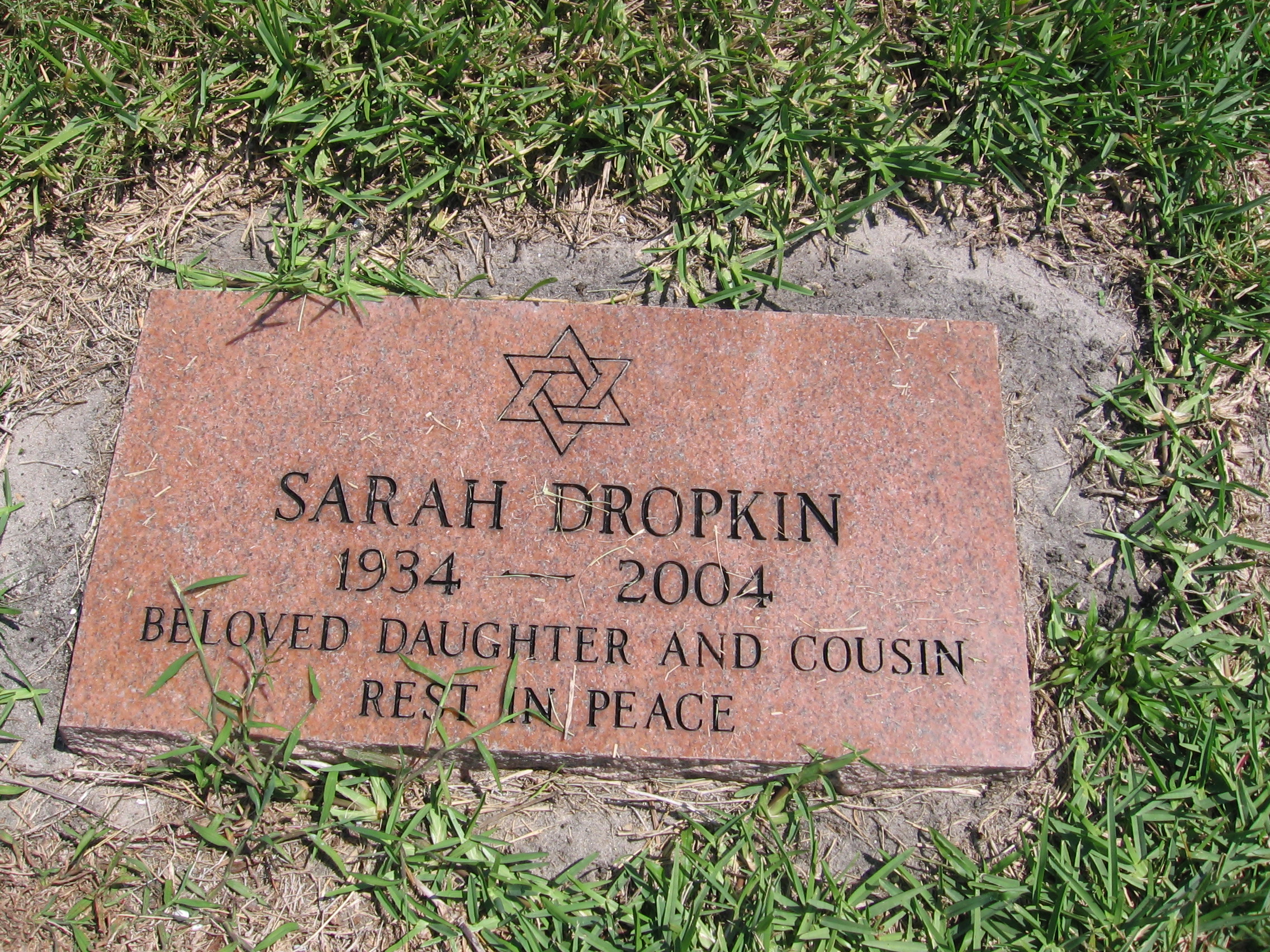 Sarah Dropkin