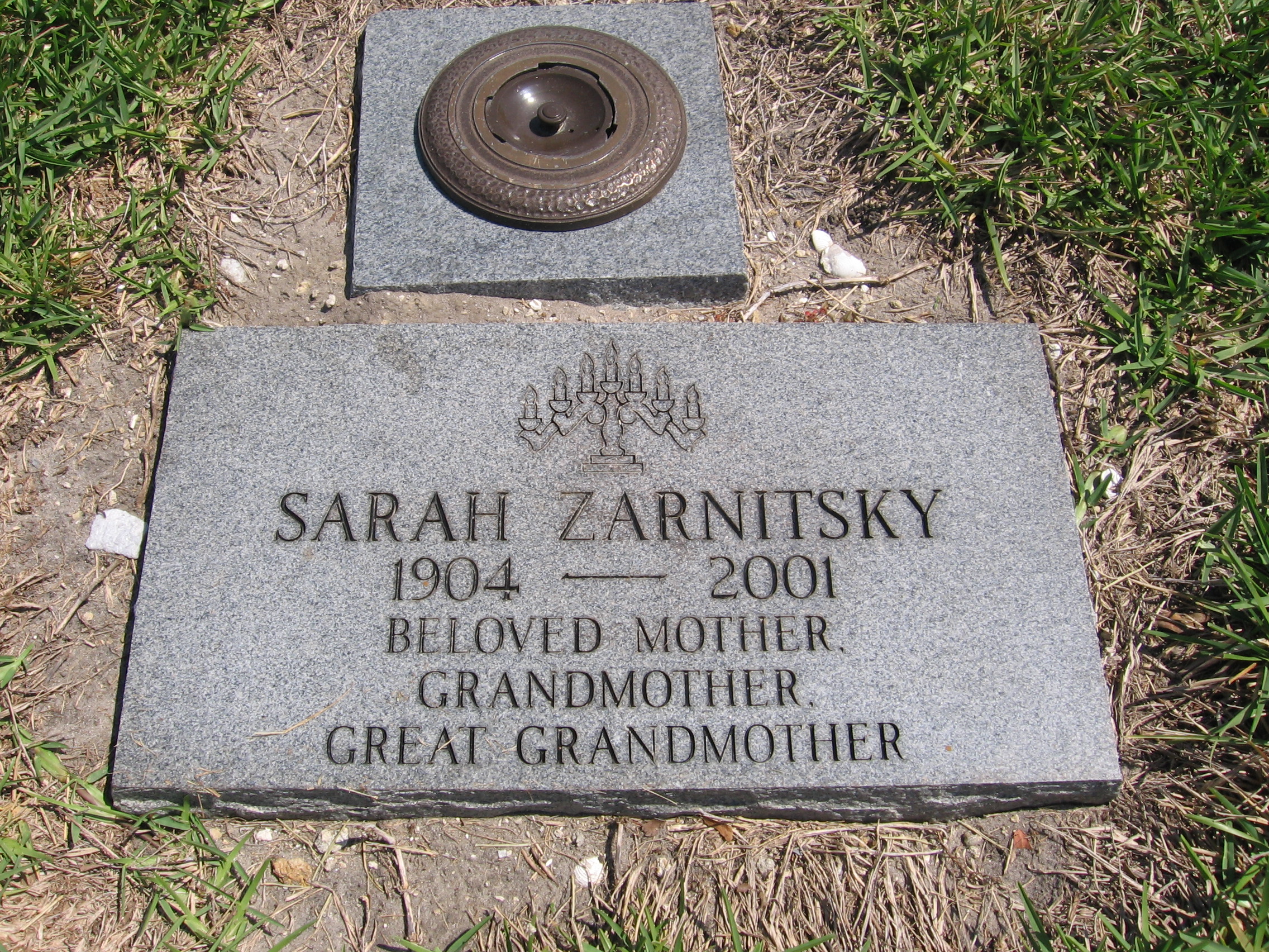 Sarah Zarnitsky