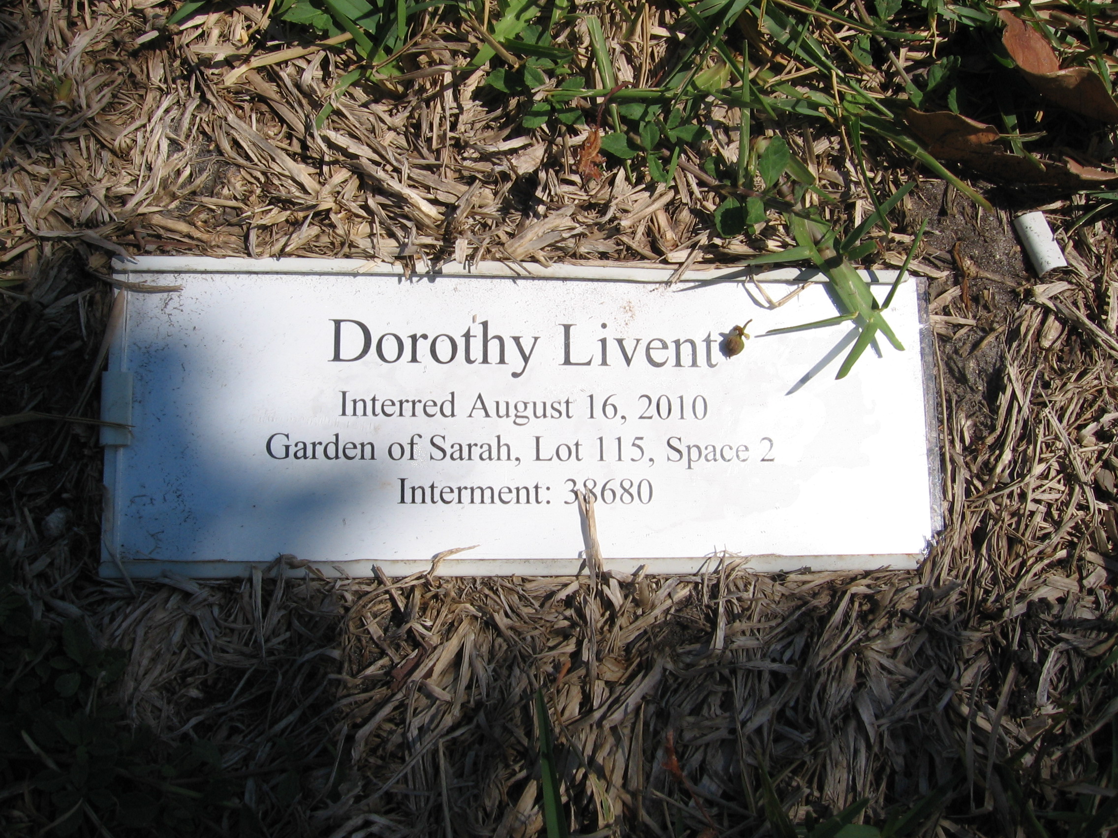 Dorothy Livent