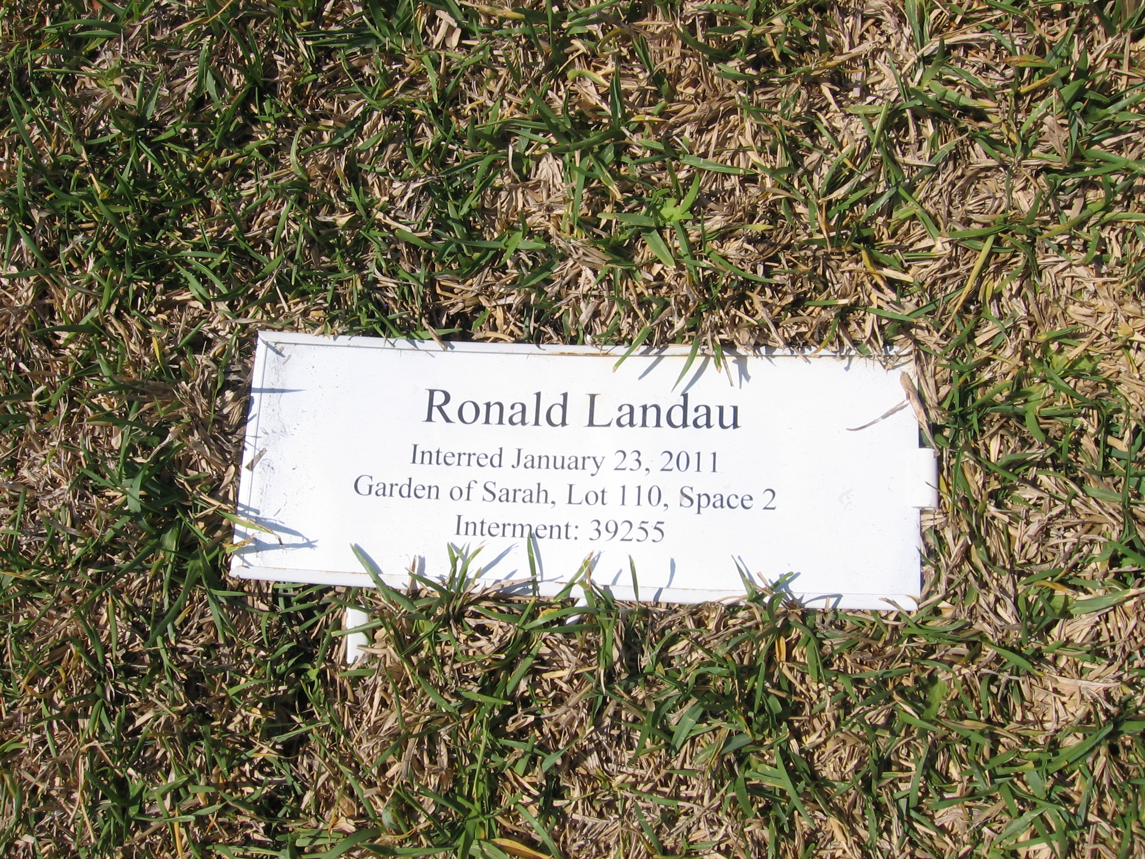 Ronald Landau