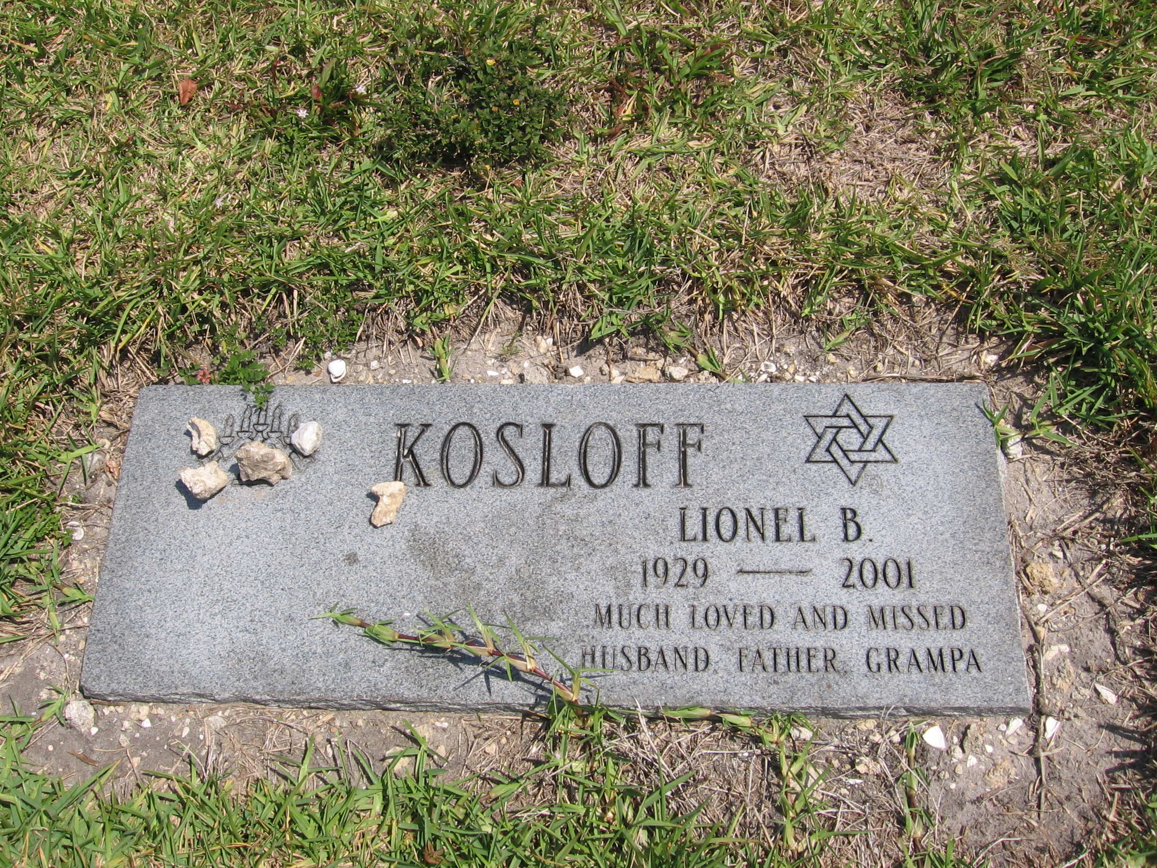 Lionel B Kosloff