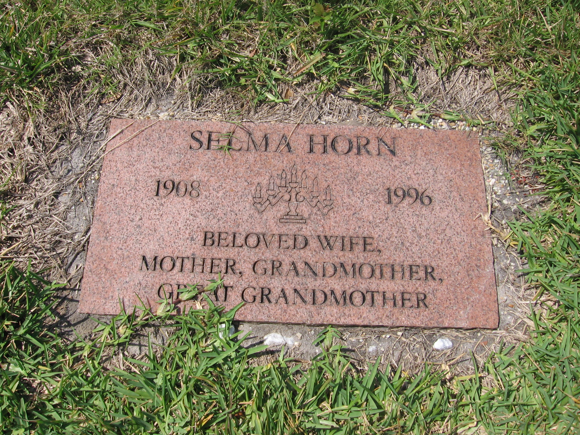 Selma Horn