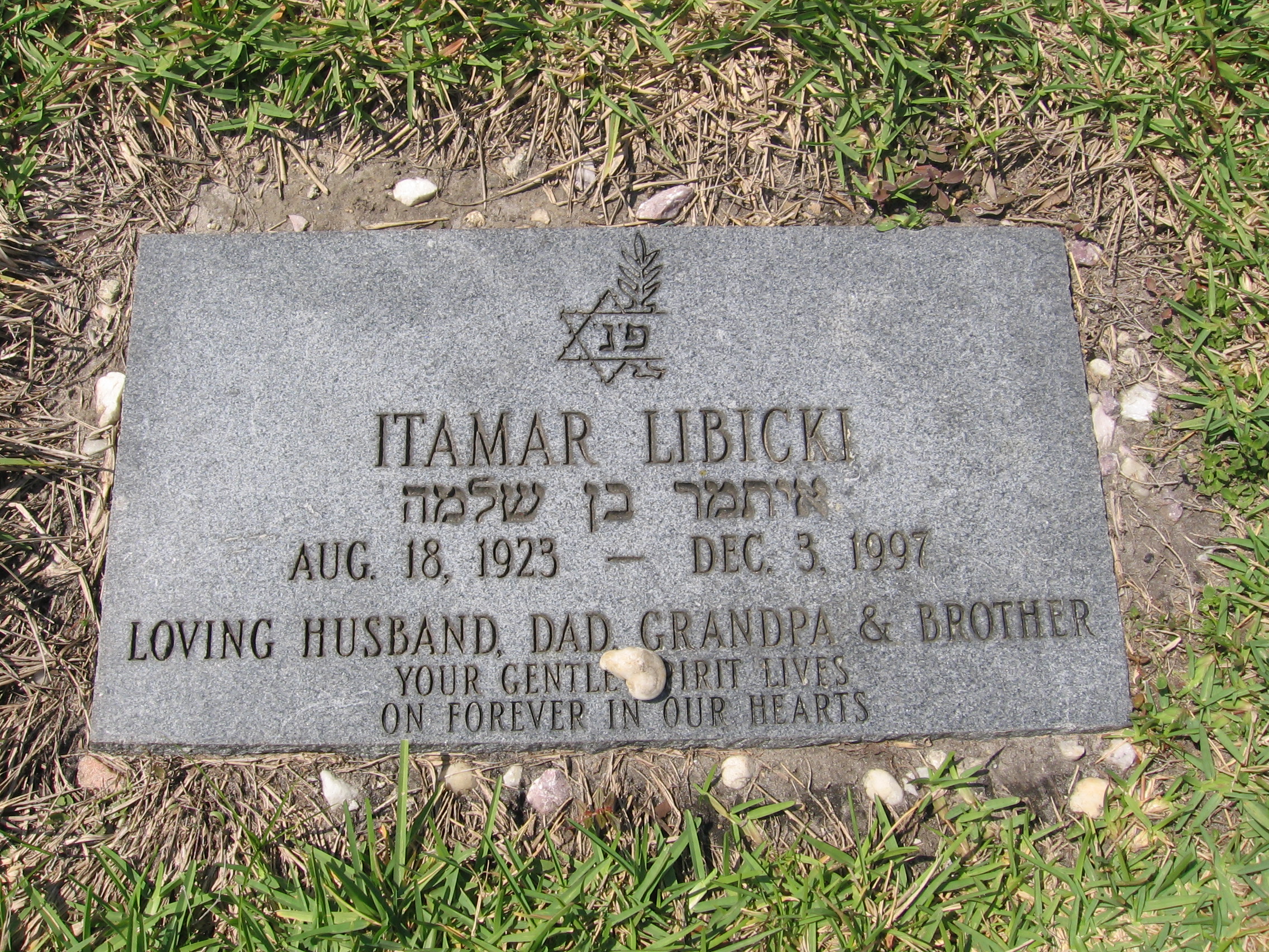 Itamar Libicki
