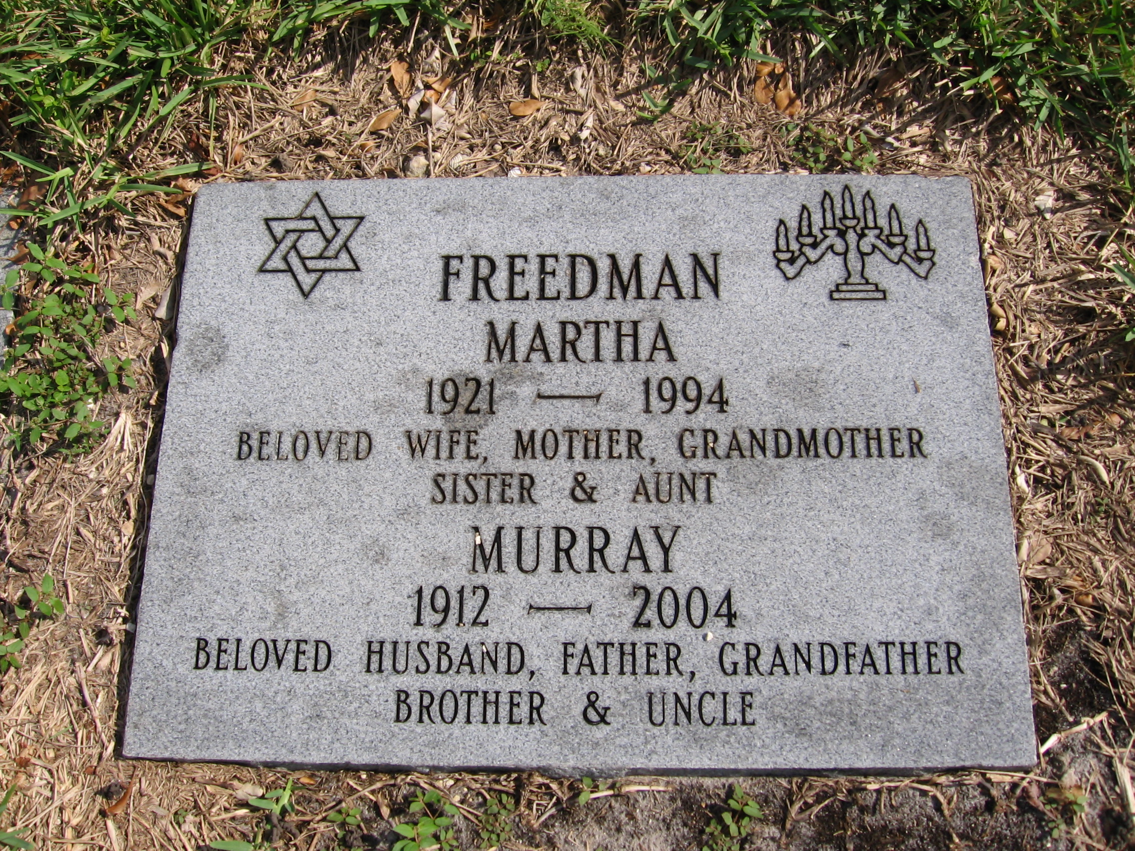 Murray Freedman
