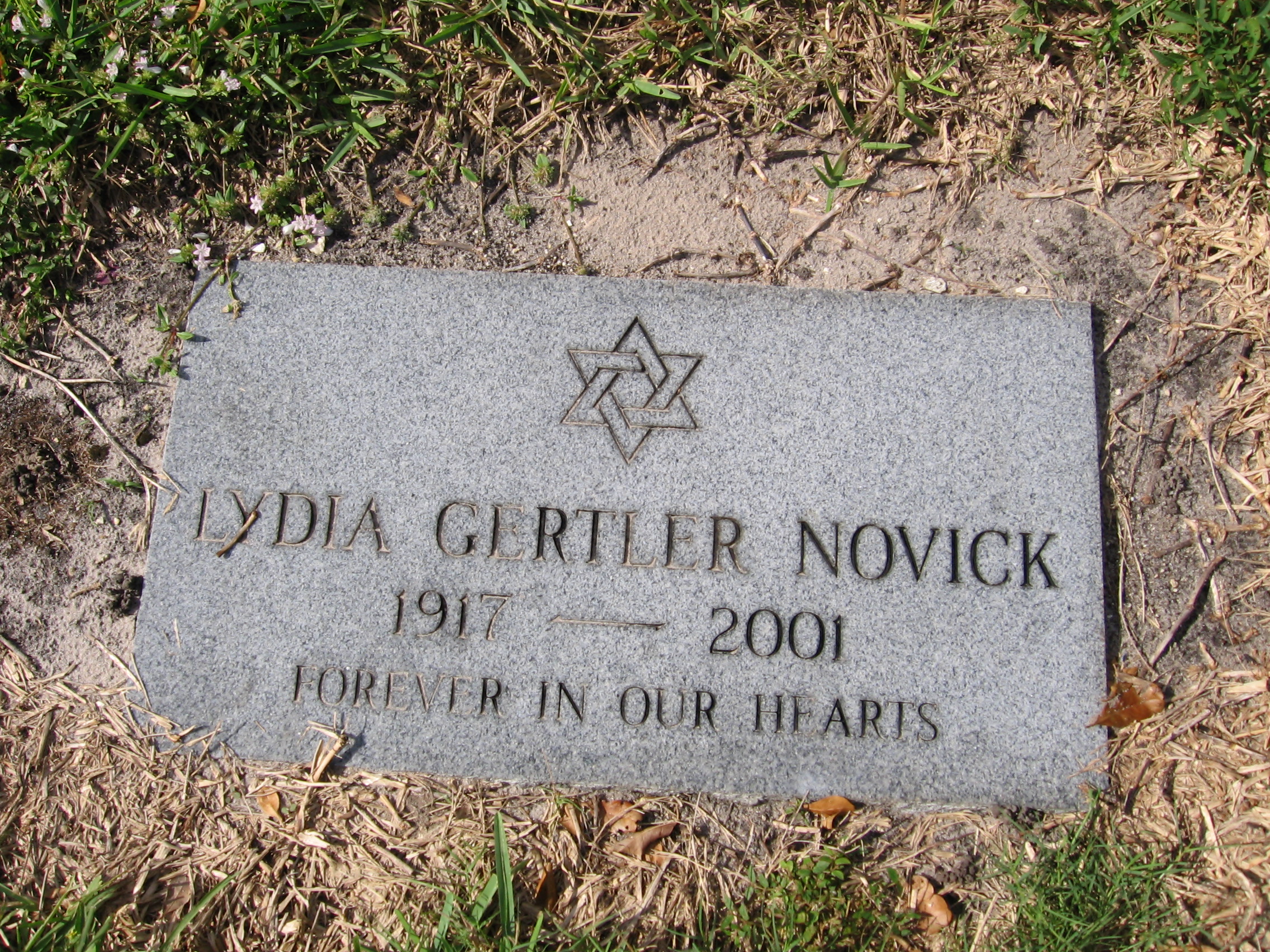 Lydia Gertler Novick