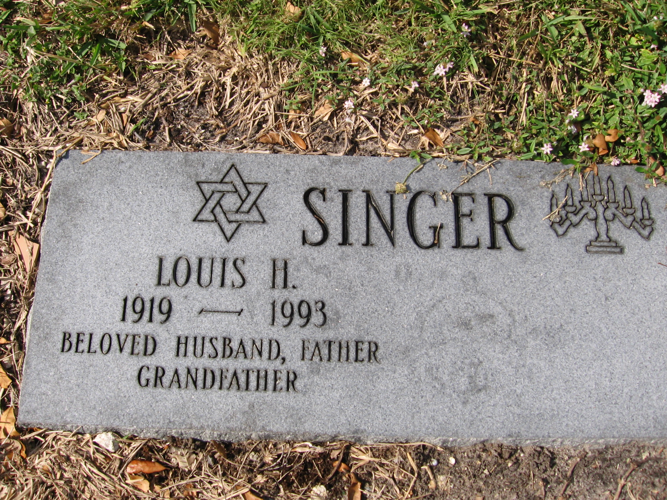 Louis H Singer