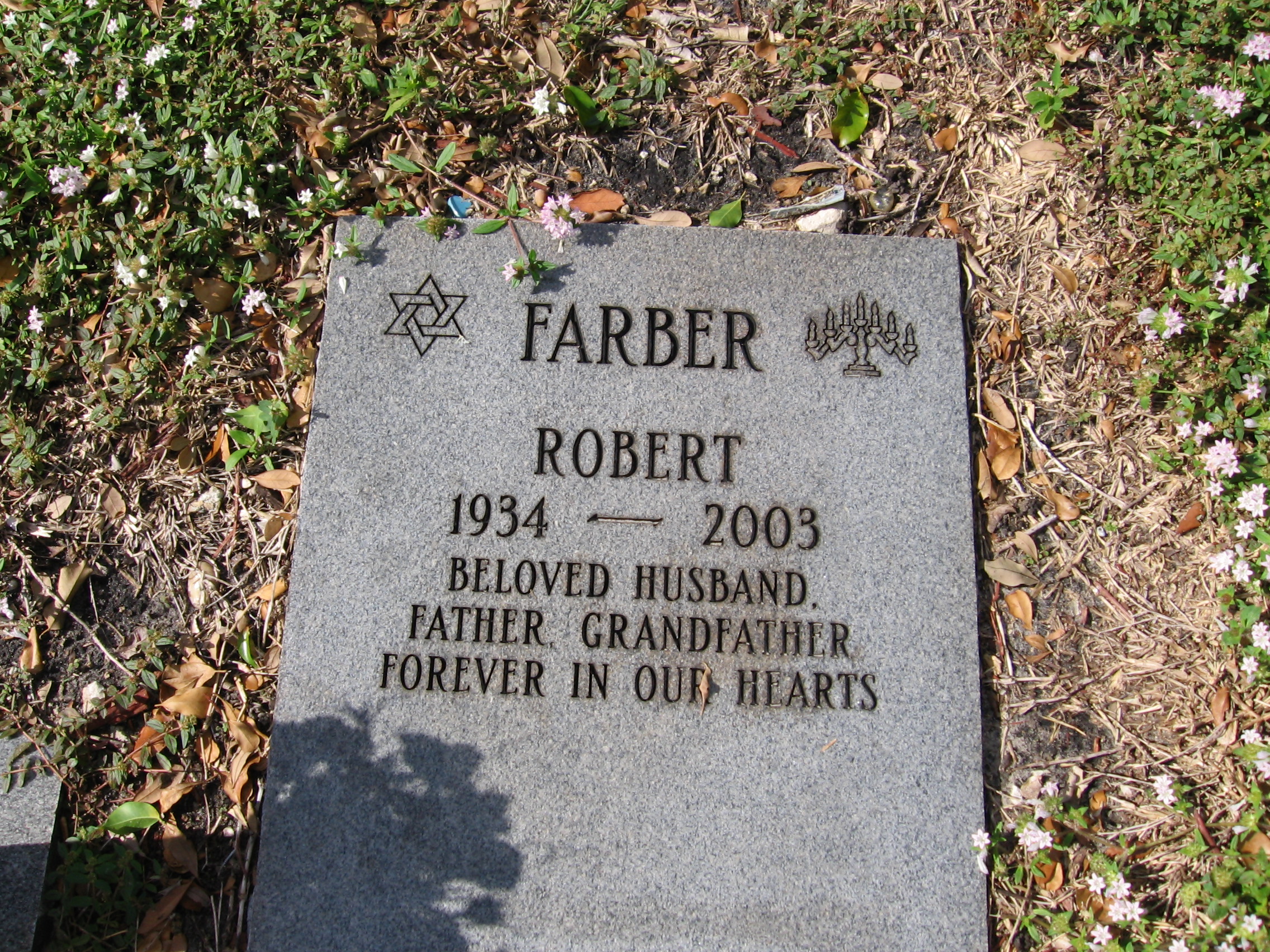 Robert Farber