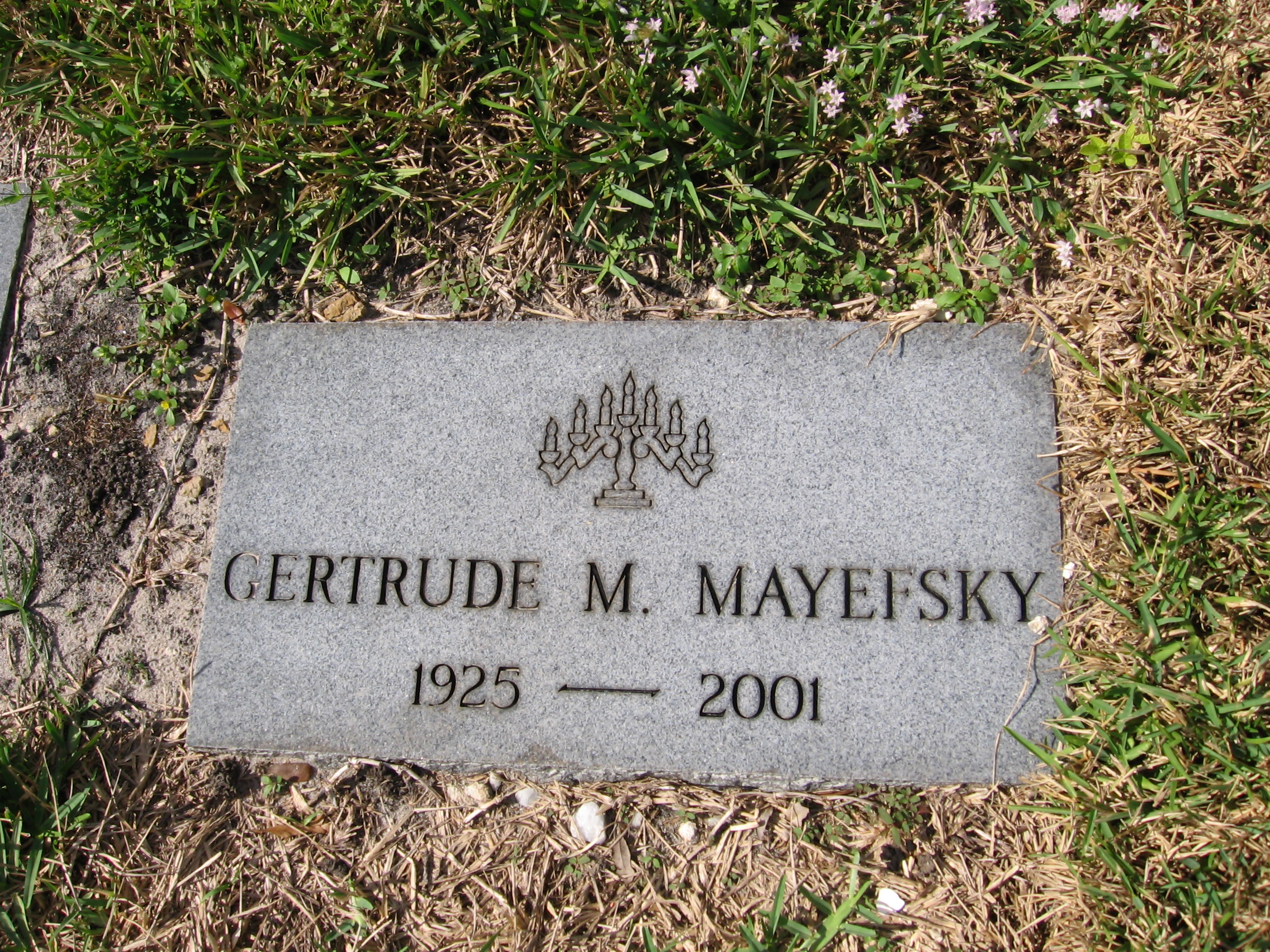 Gertrude M Mayefsky
