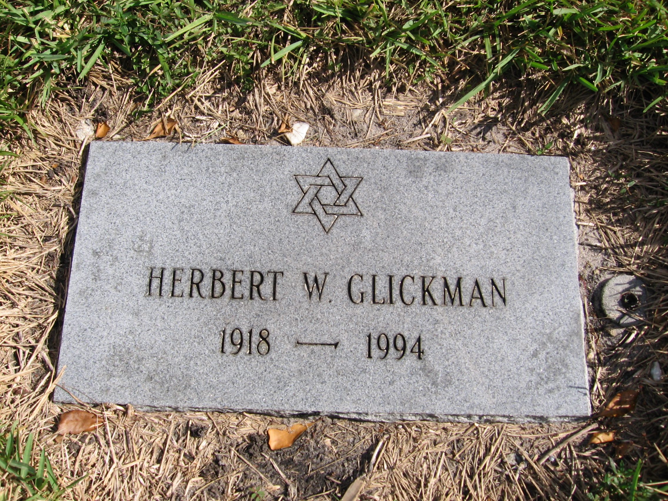 Herbert W Glickman
