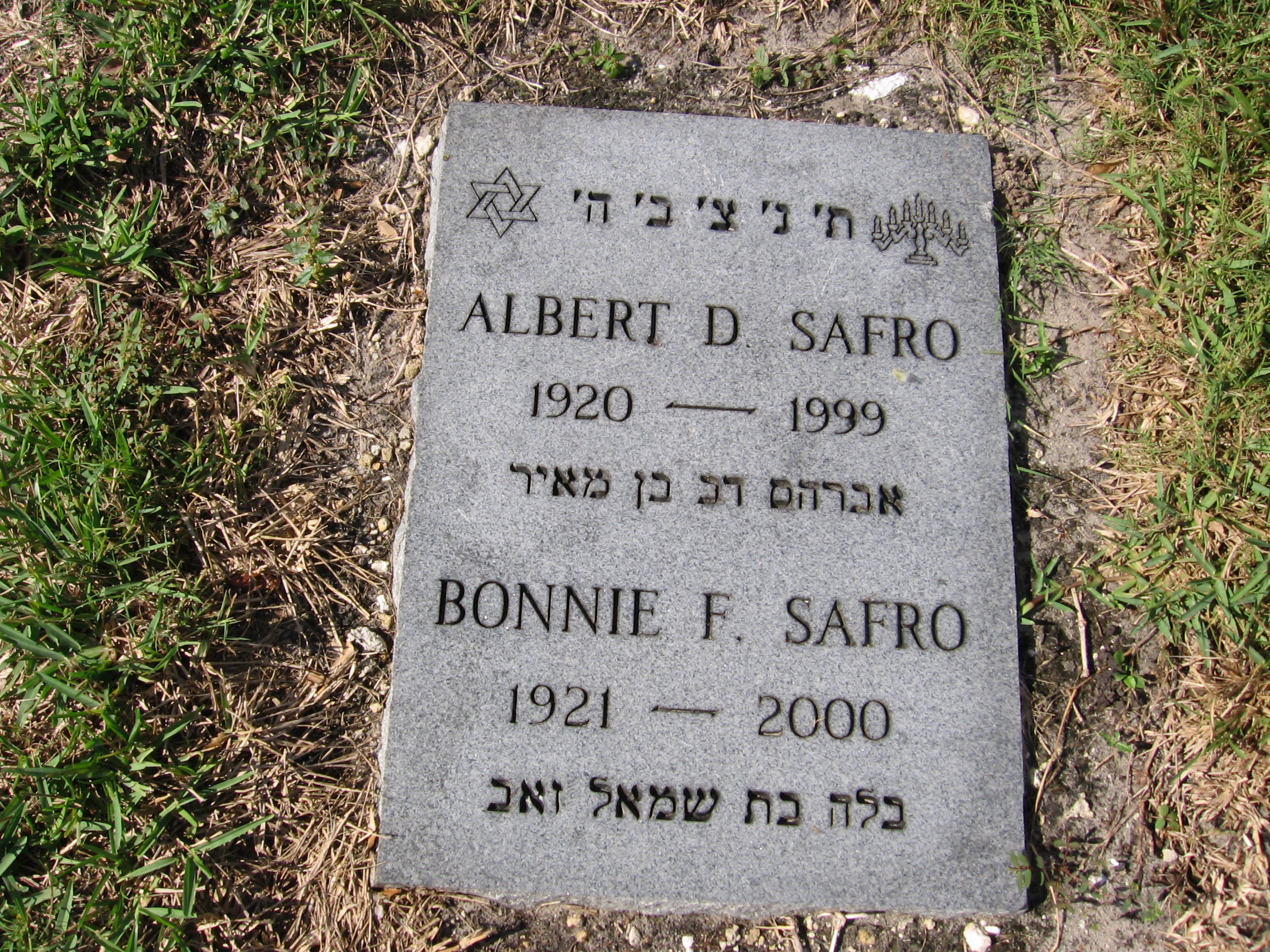 Albert D Safro