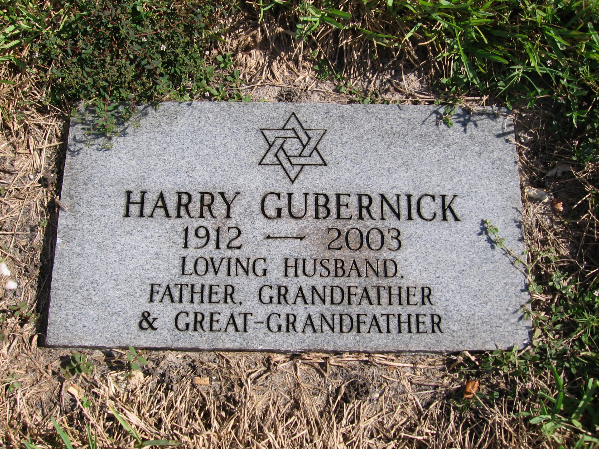 Harry Gubernick