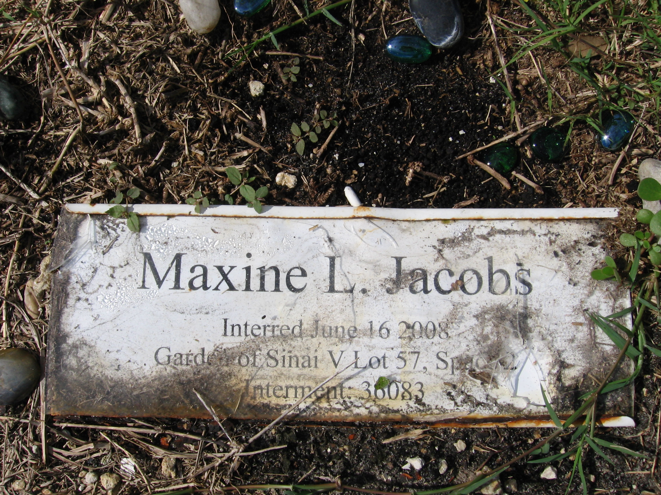 Maxine L Jacobs