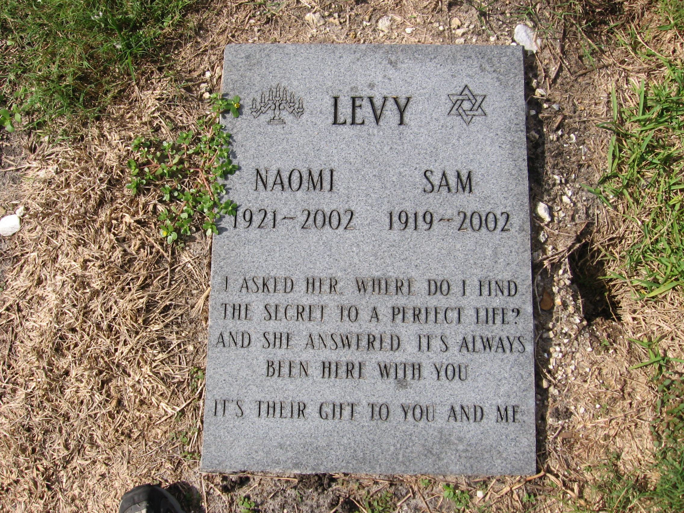 Sam Levy