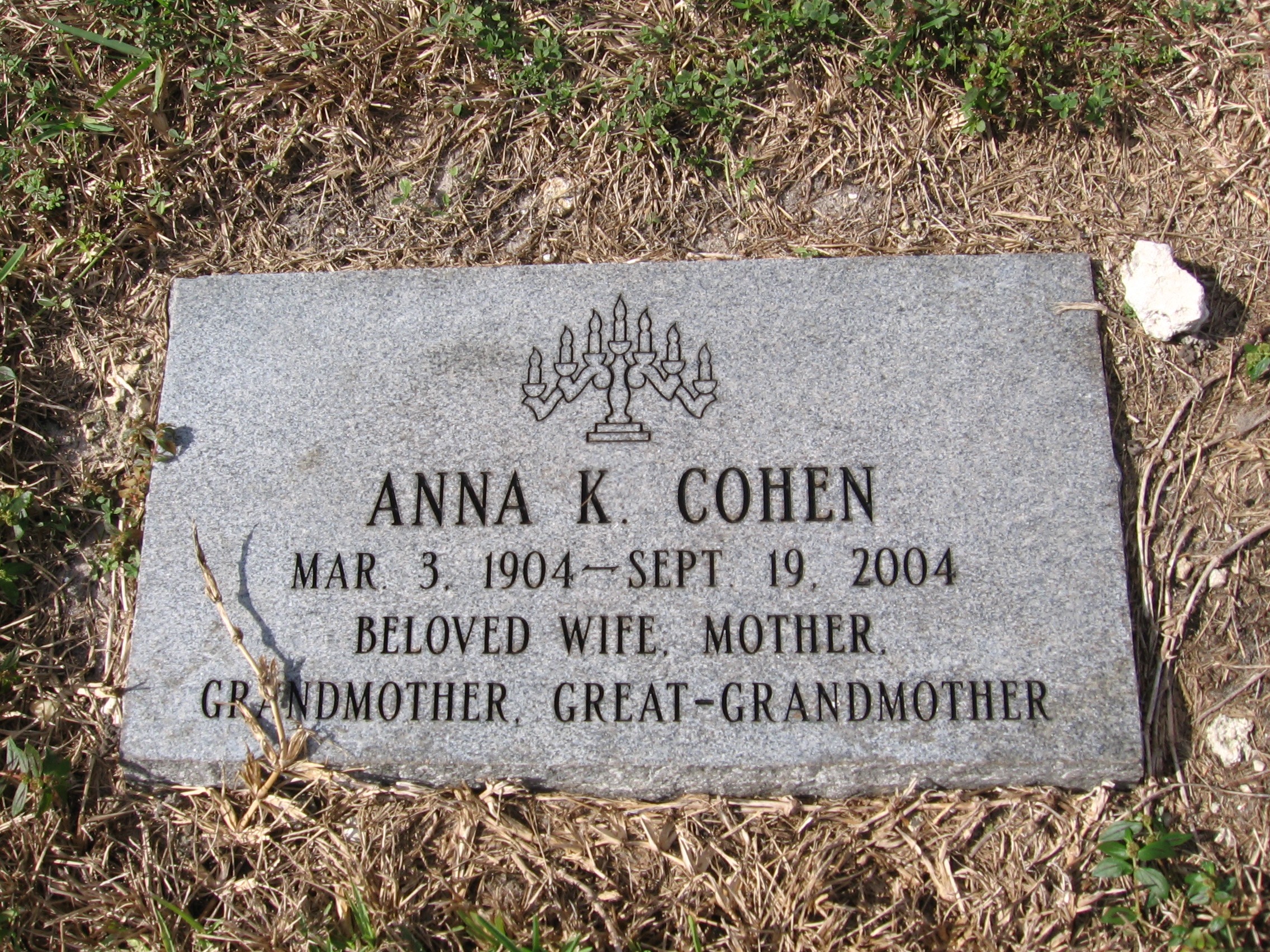 Anna K Cohen