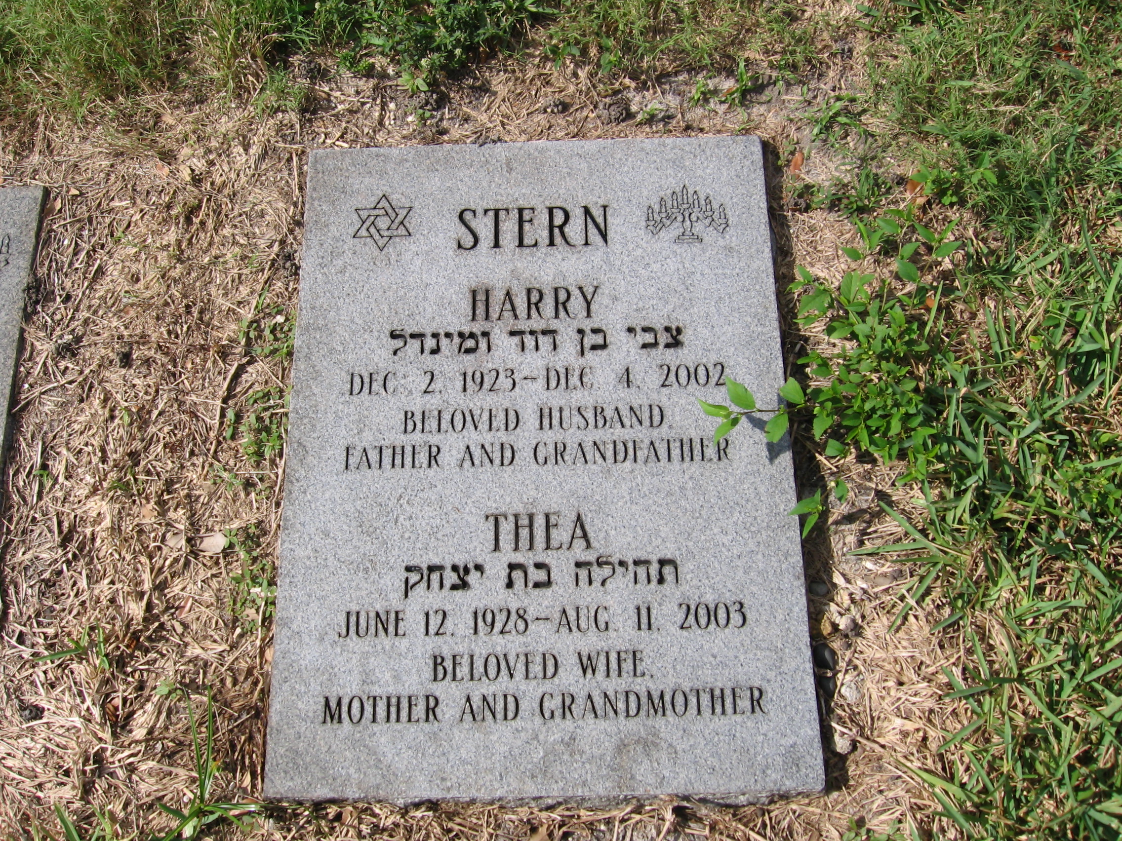 Harry Stern