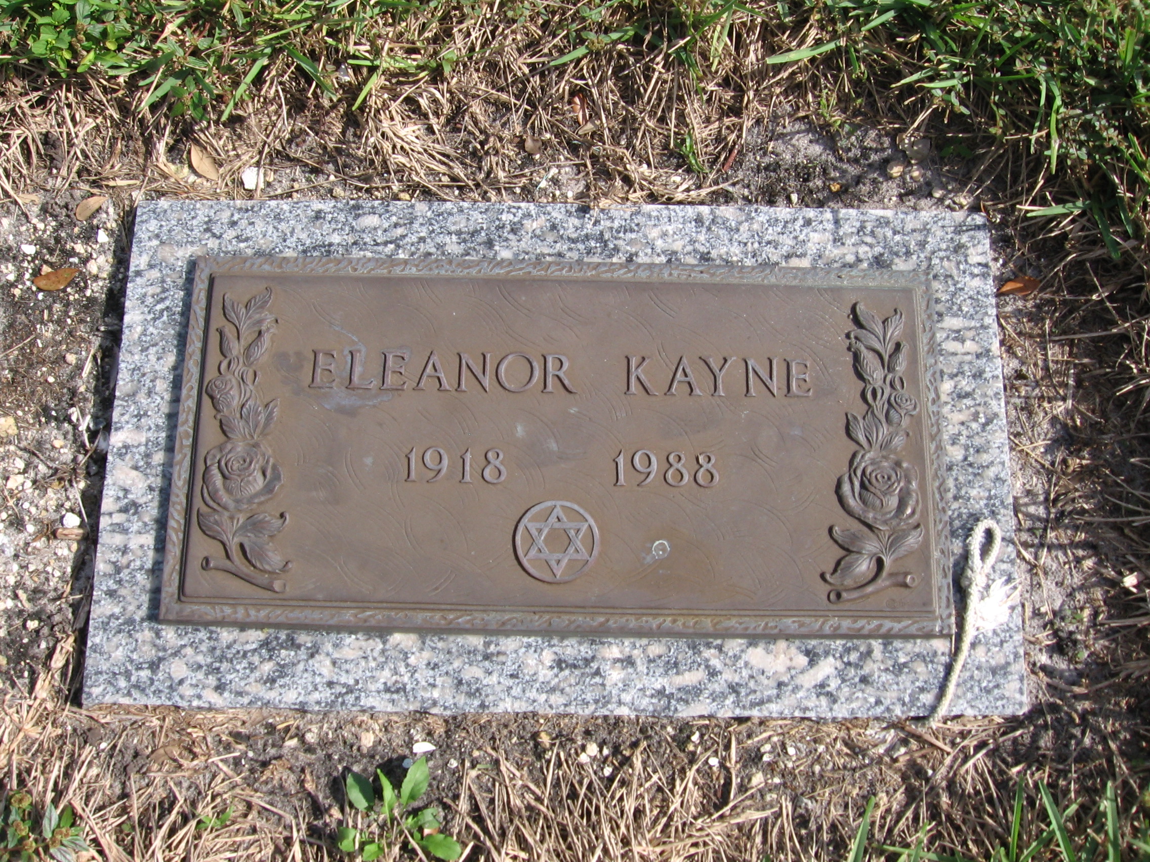 Eleanor Kayne