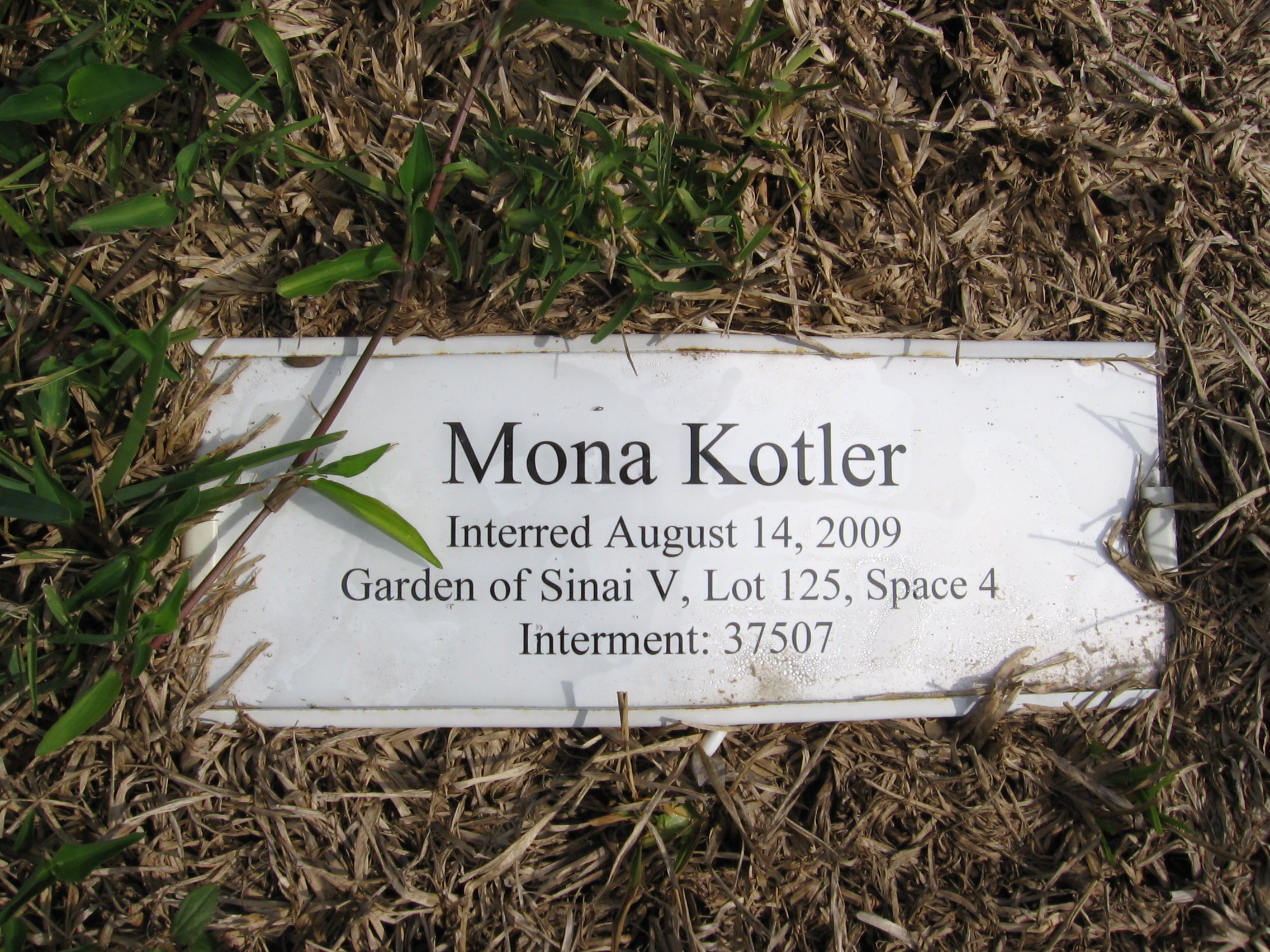 Mona Kotler