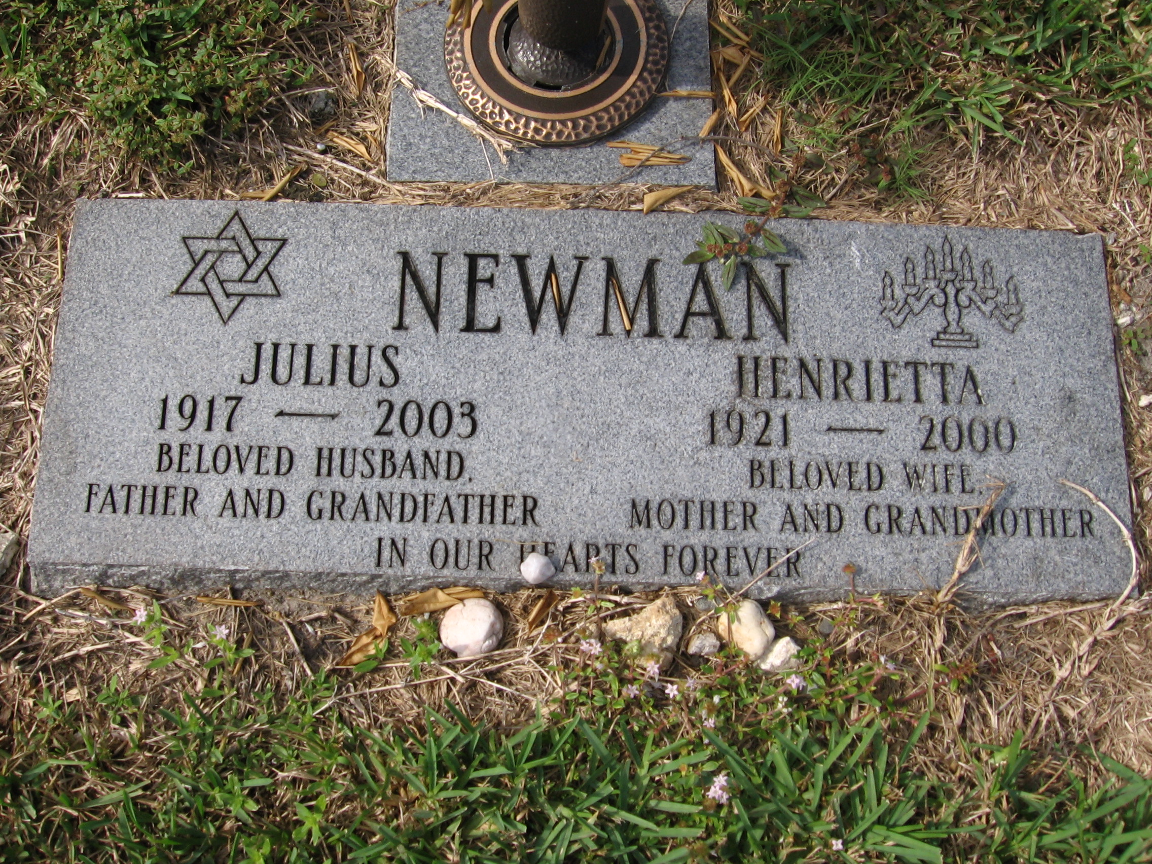Julius Newman
