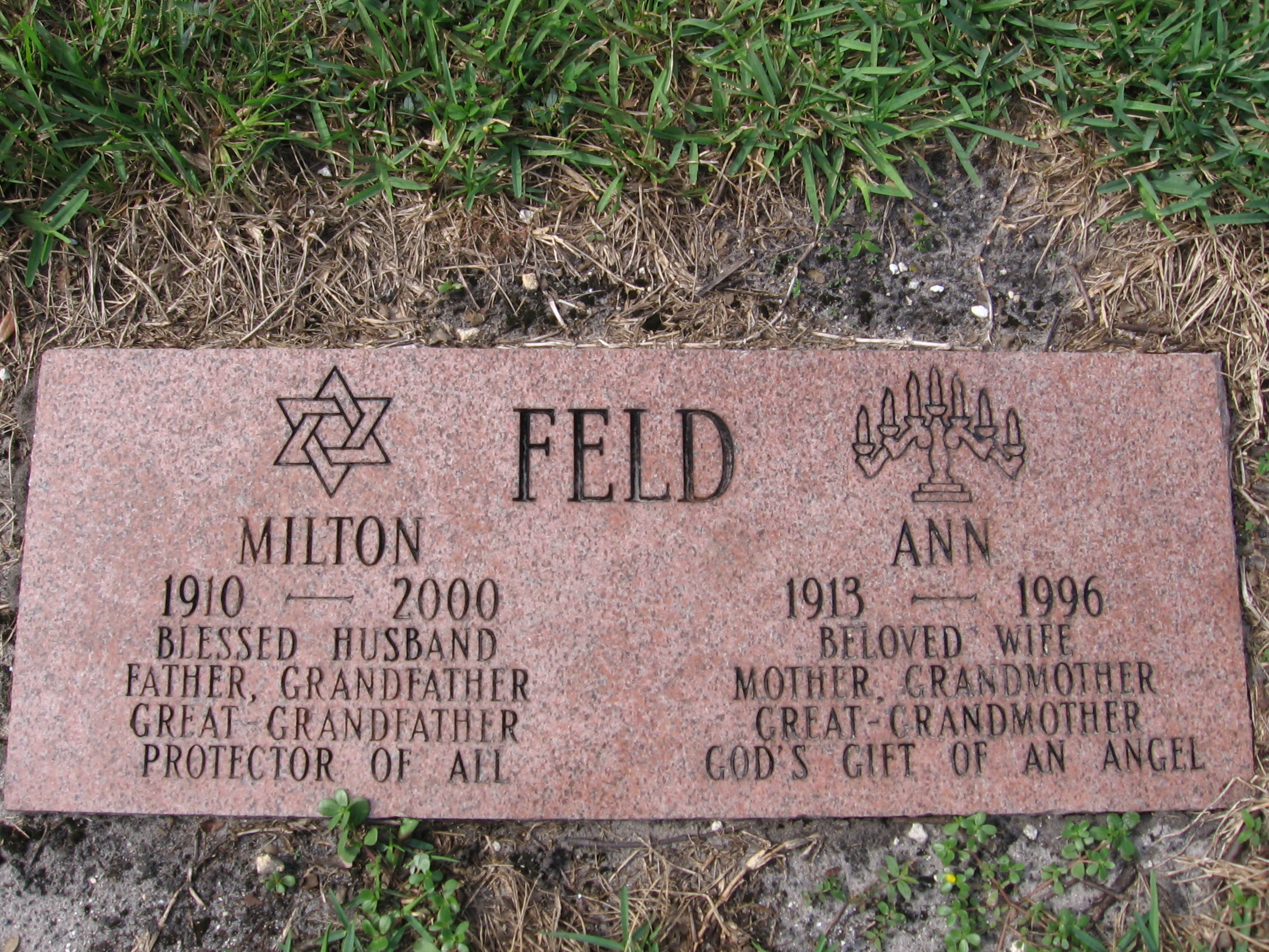 Milton Feld