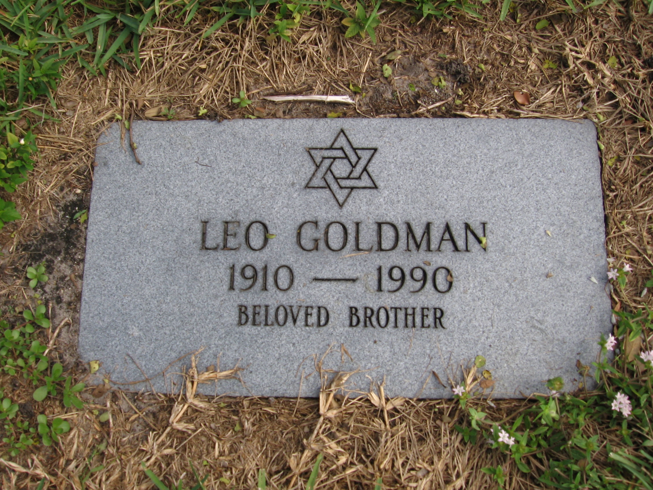 Leo Goldman