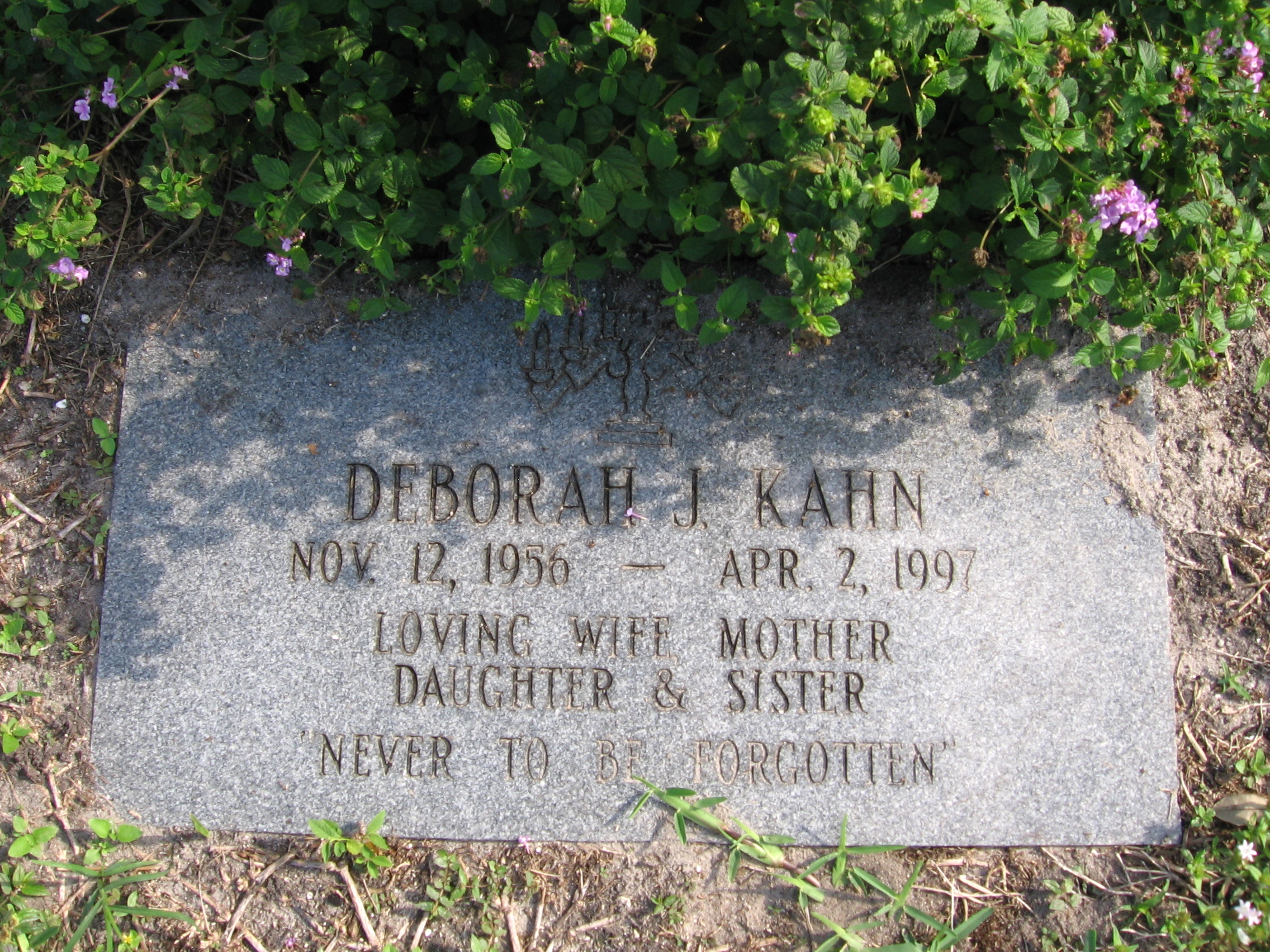 Deborah J Kahn