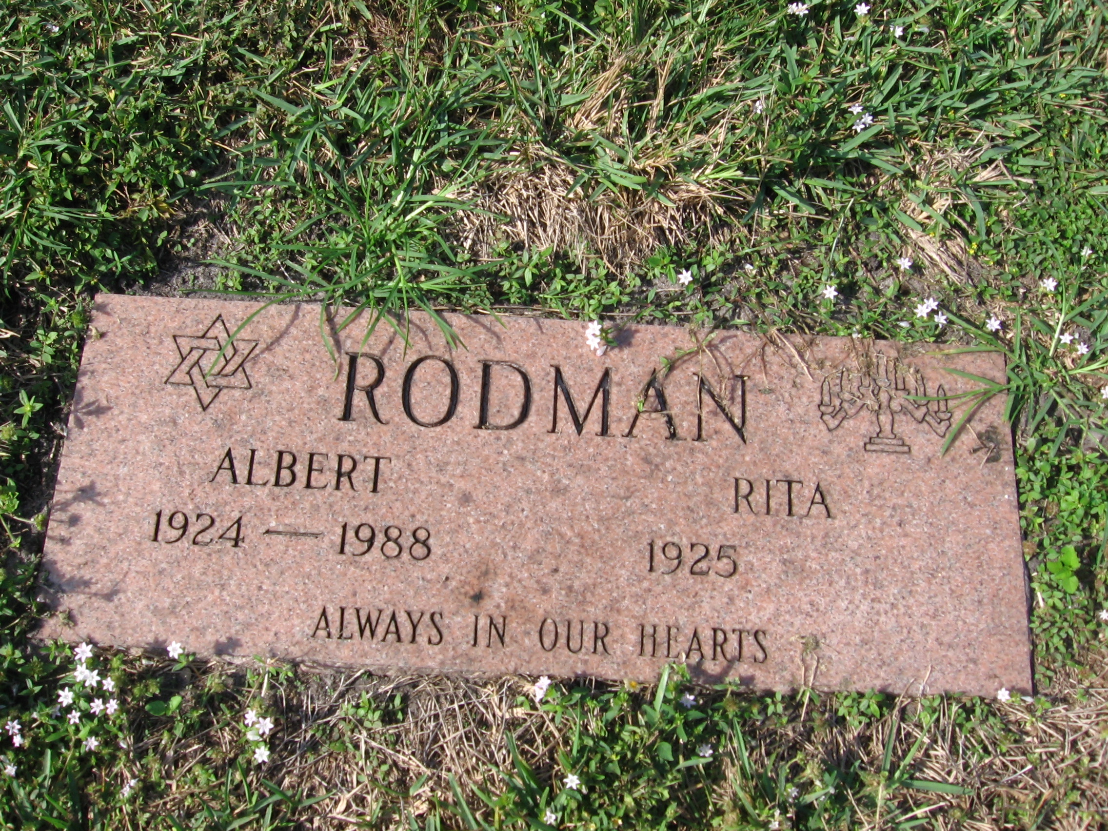 Albert Rodman
