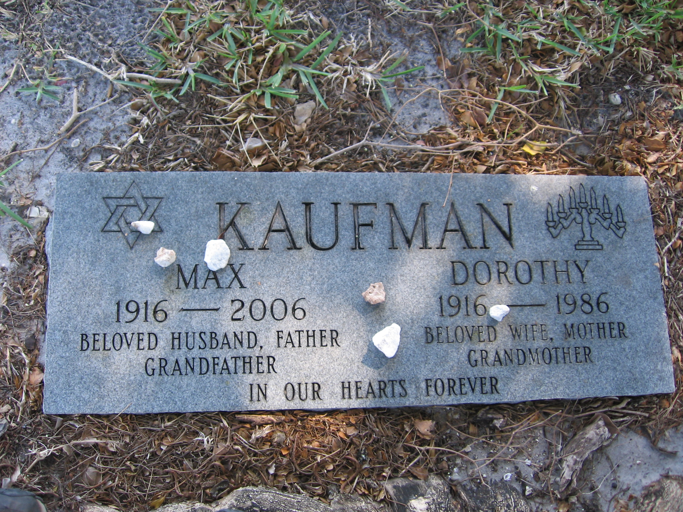Max Kaufman