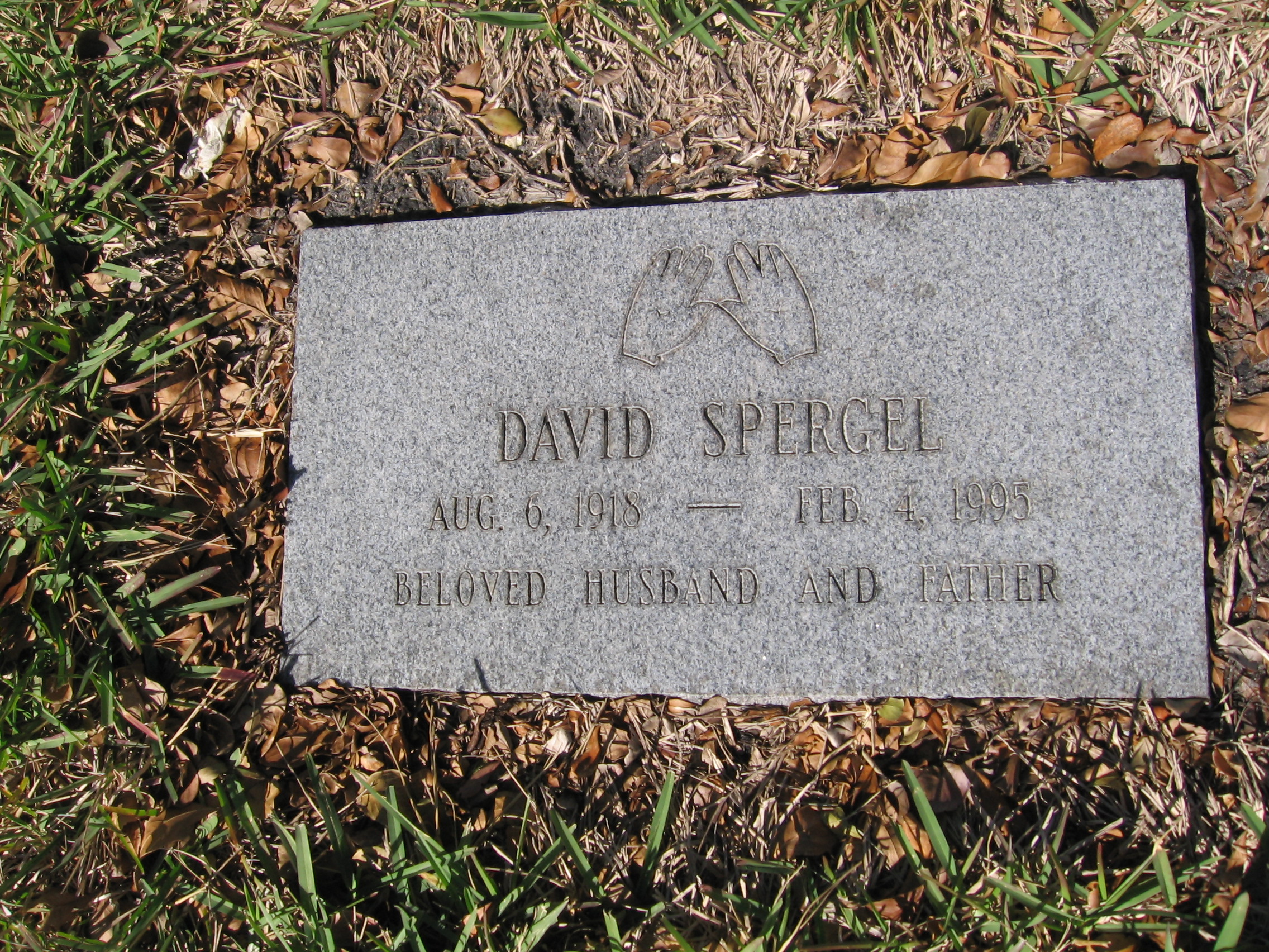 David Spergel