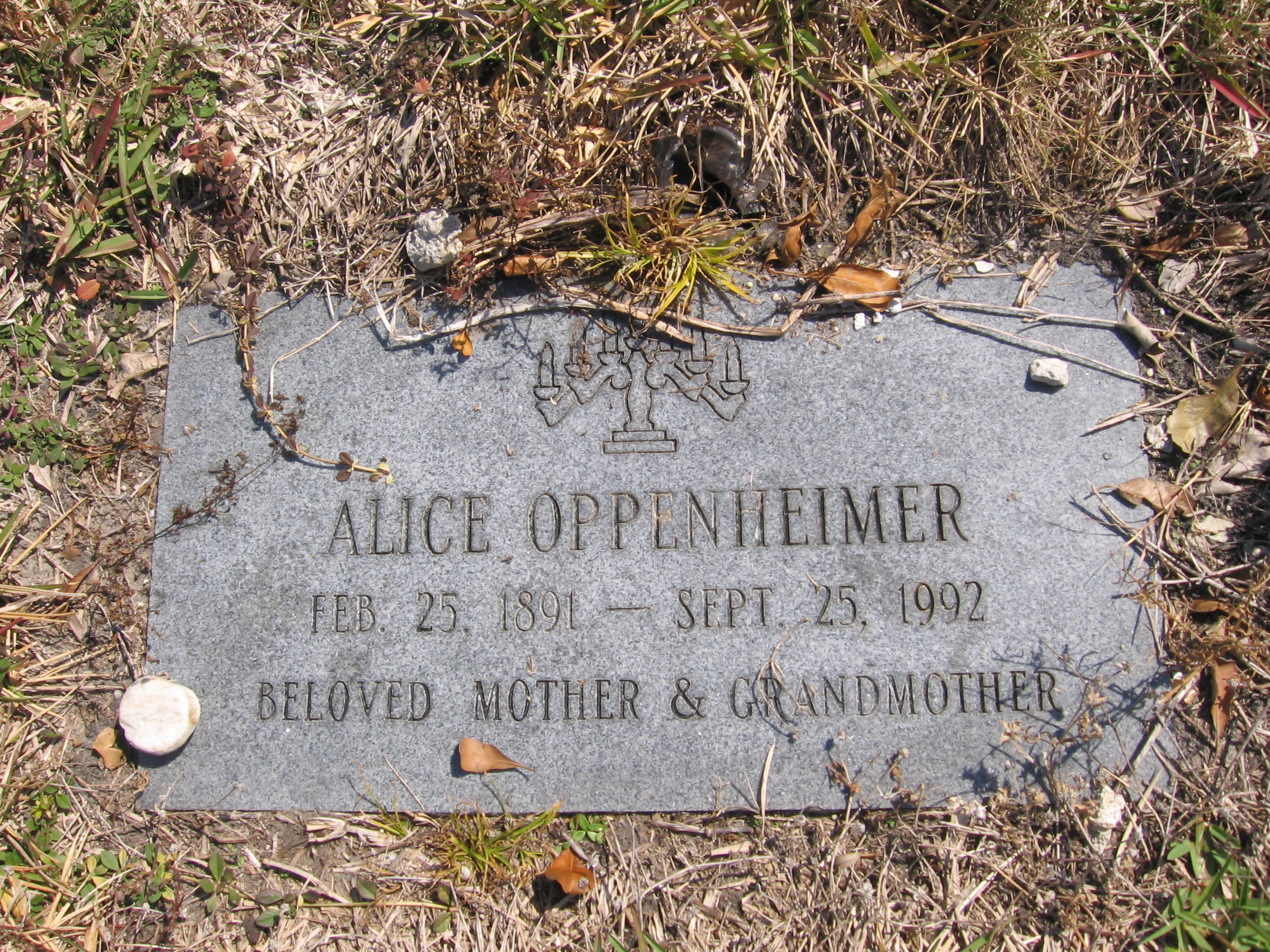 Alice Oppenheimer