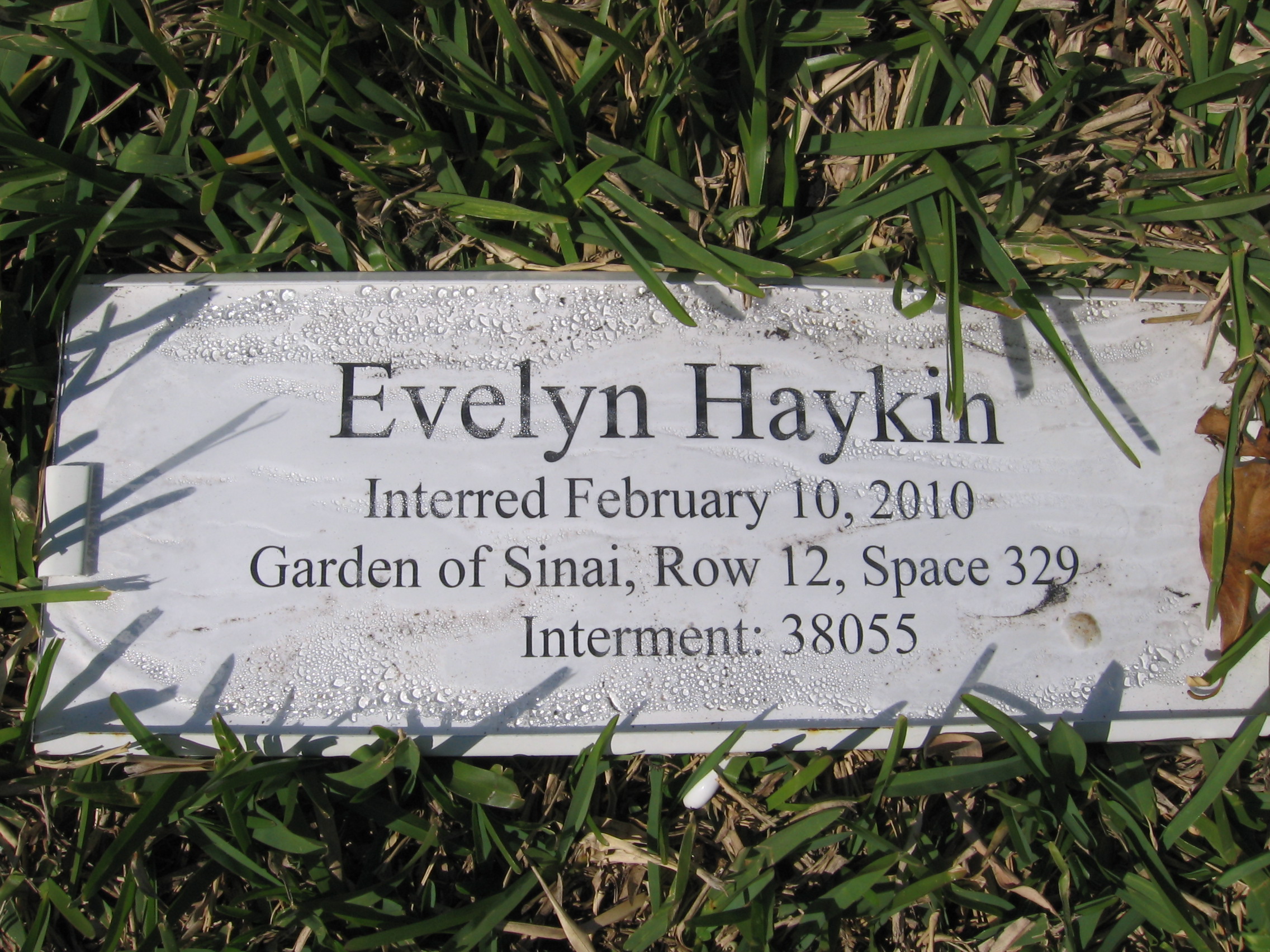 Evelyn Haykin