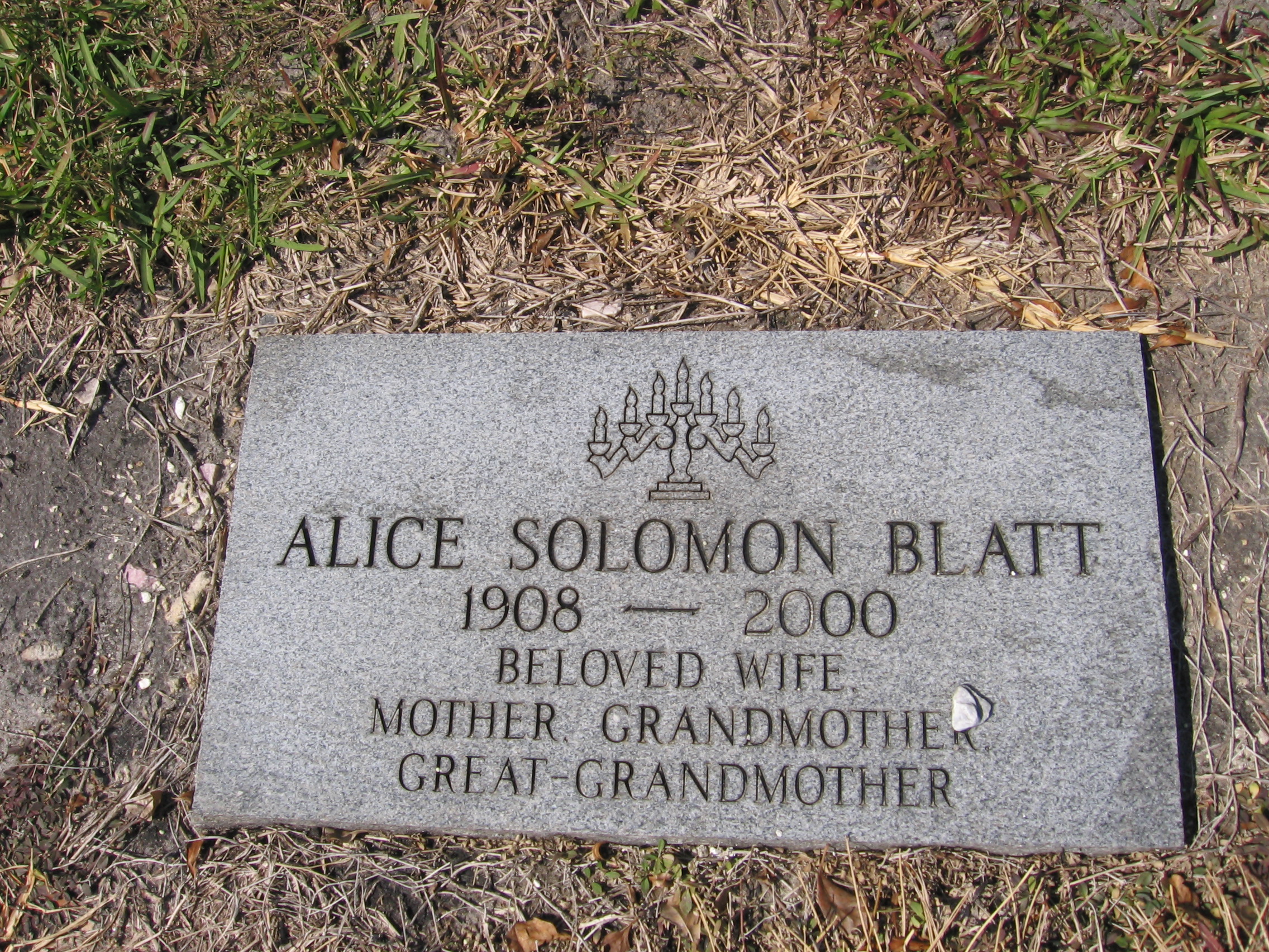 Alice Solomon Blatt