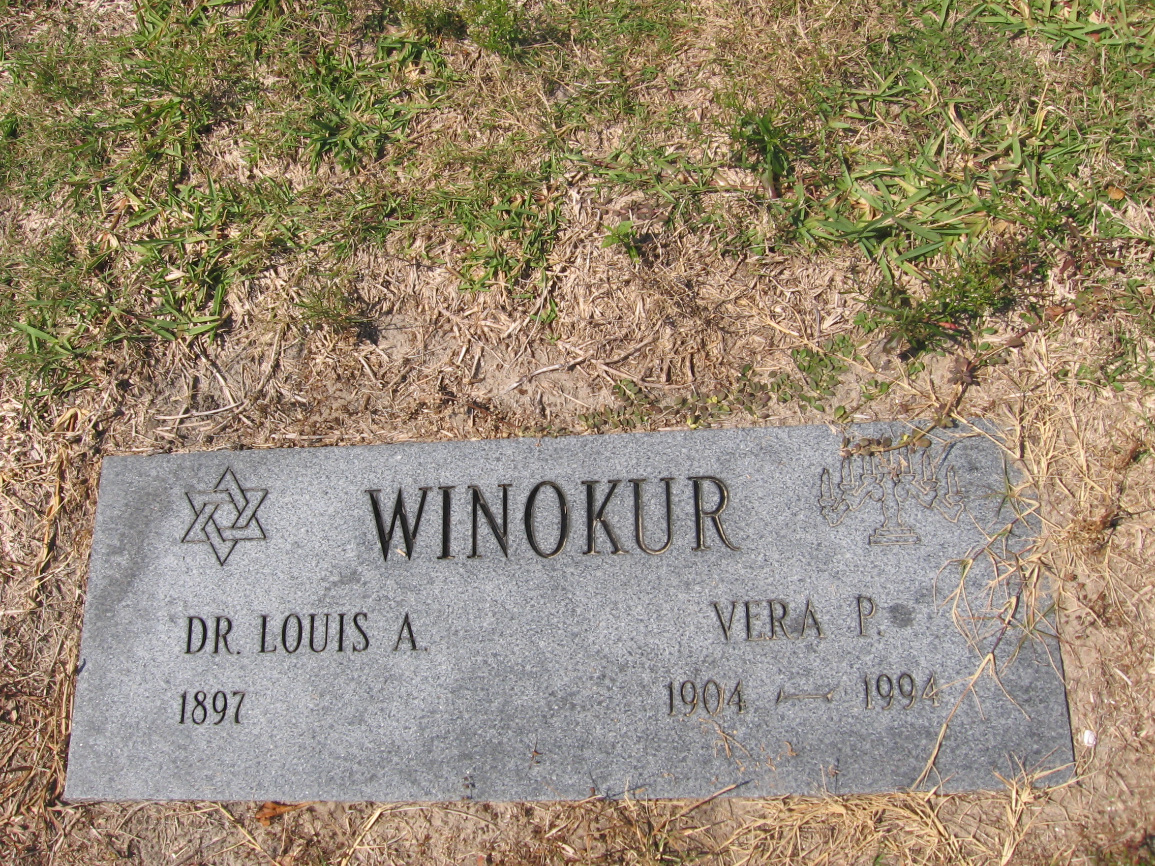 Dr Louis A Winokur