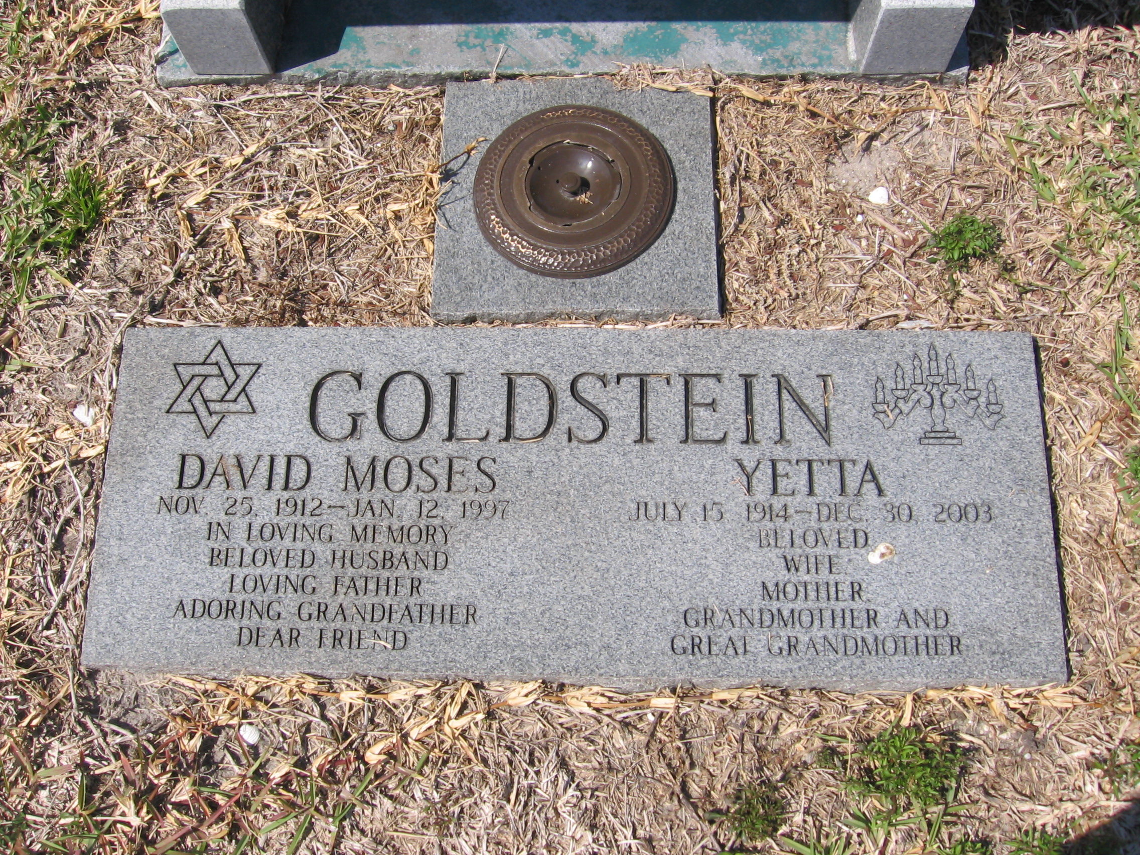 David Moses Goldstein