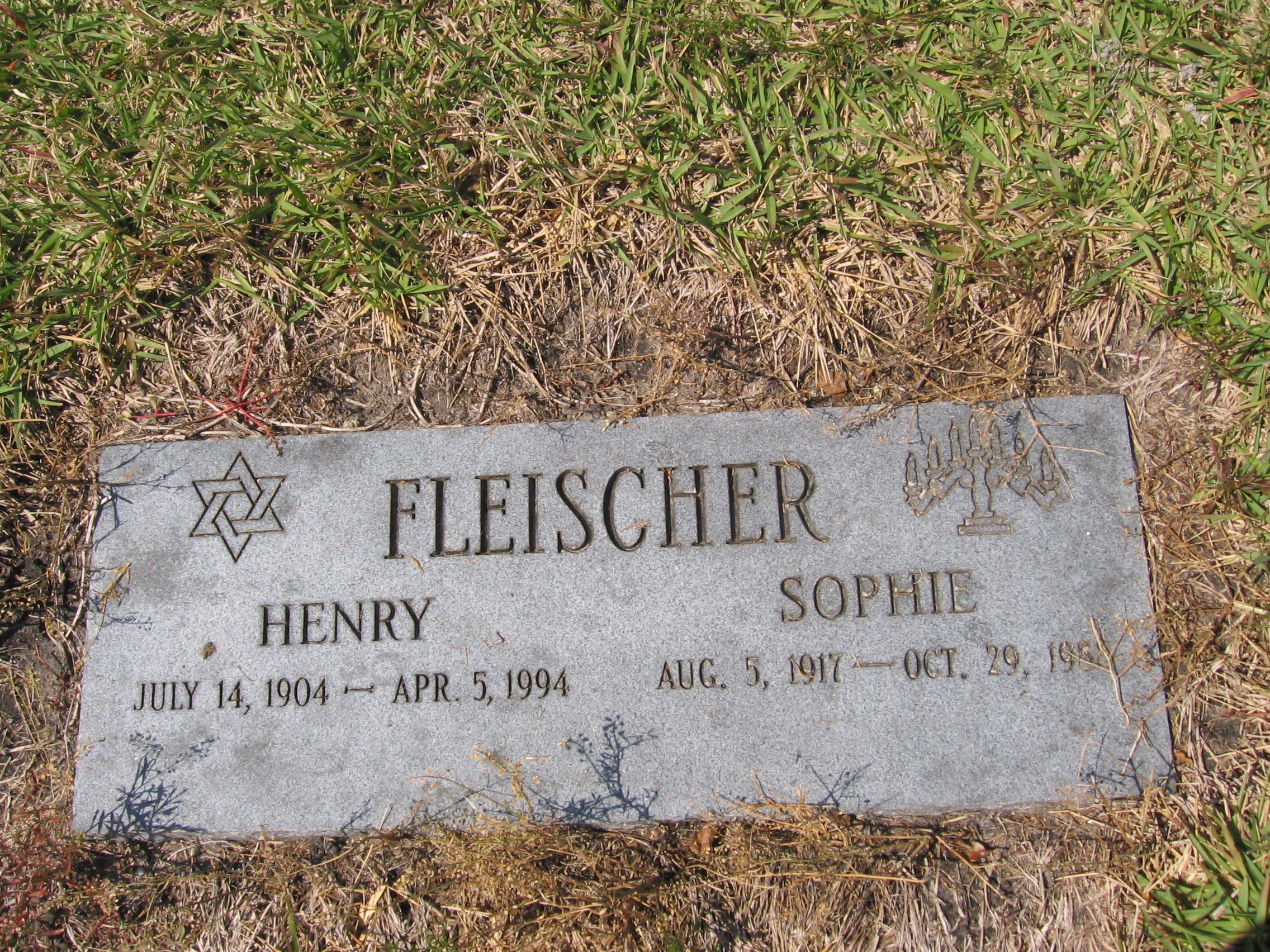 Henry Fleischer