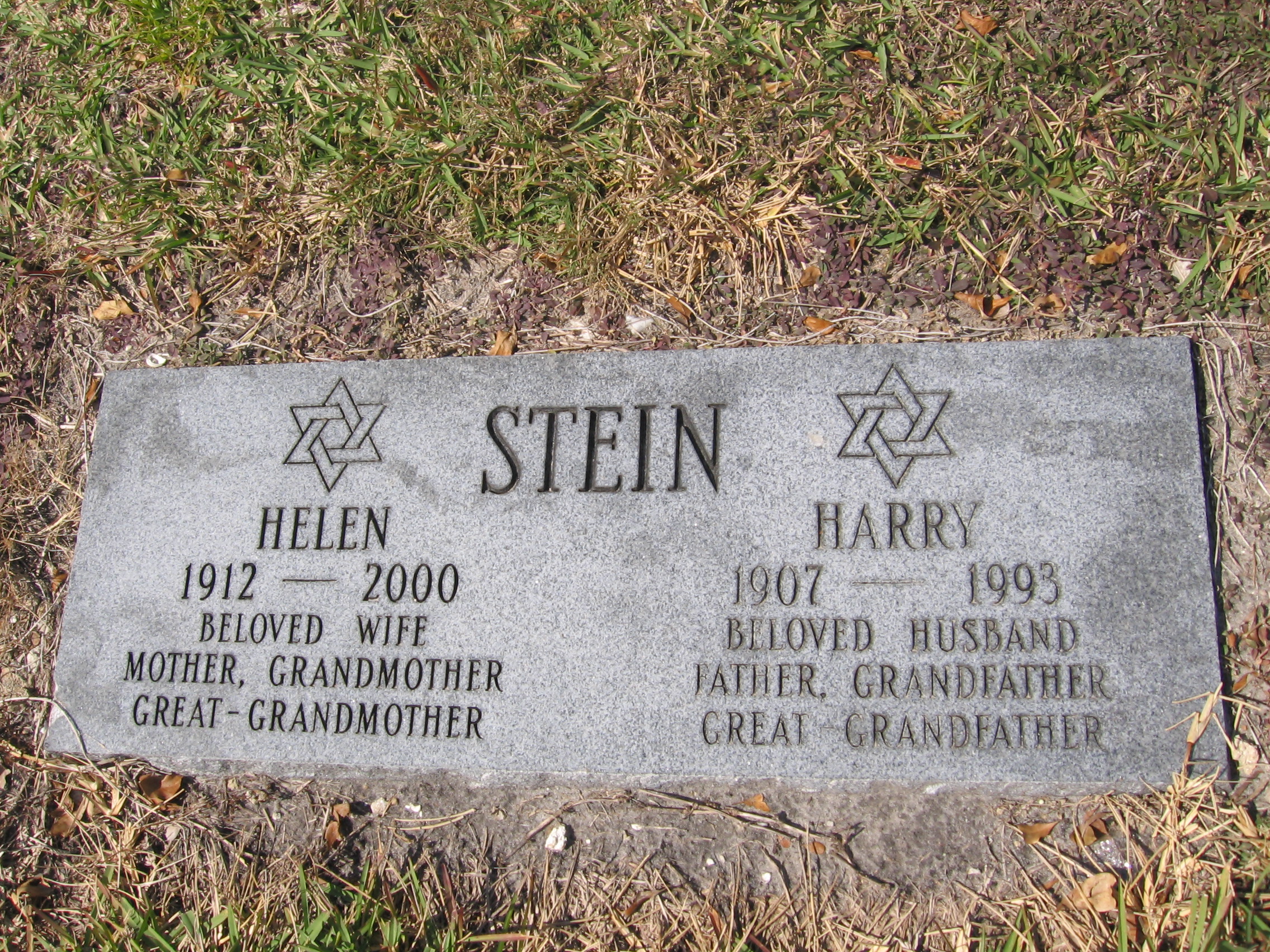 Harry Stein