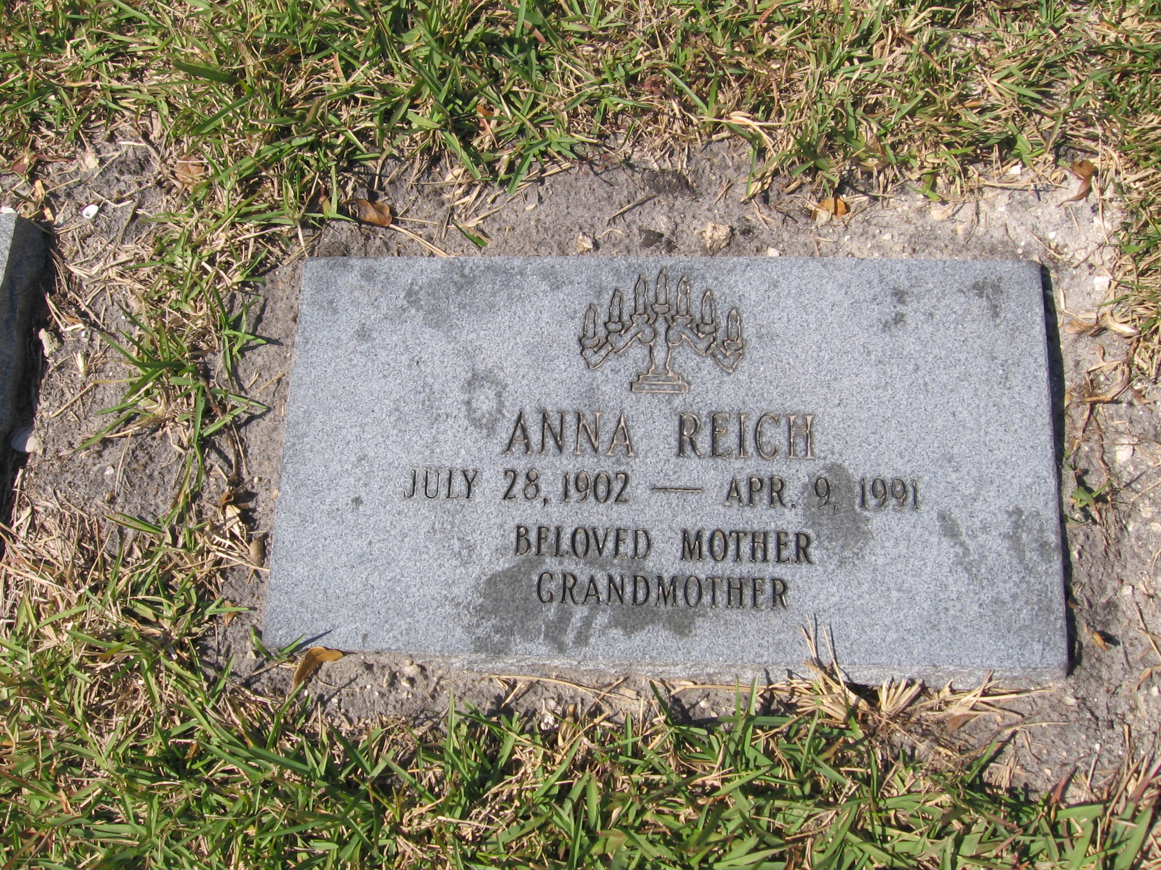 Anna Reich