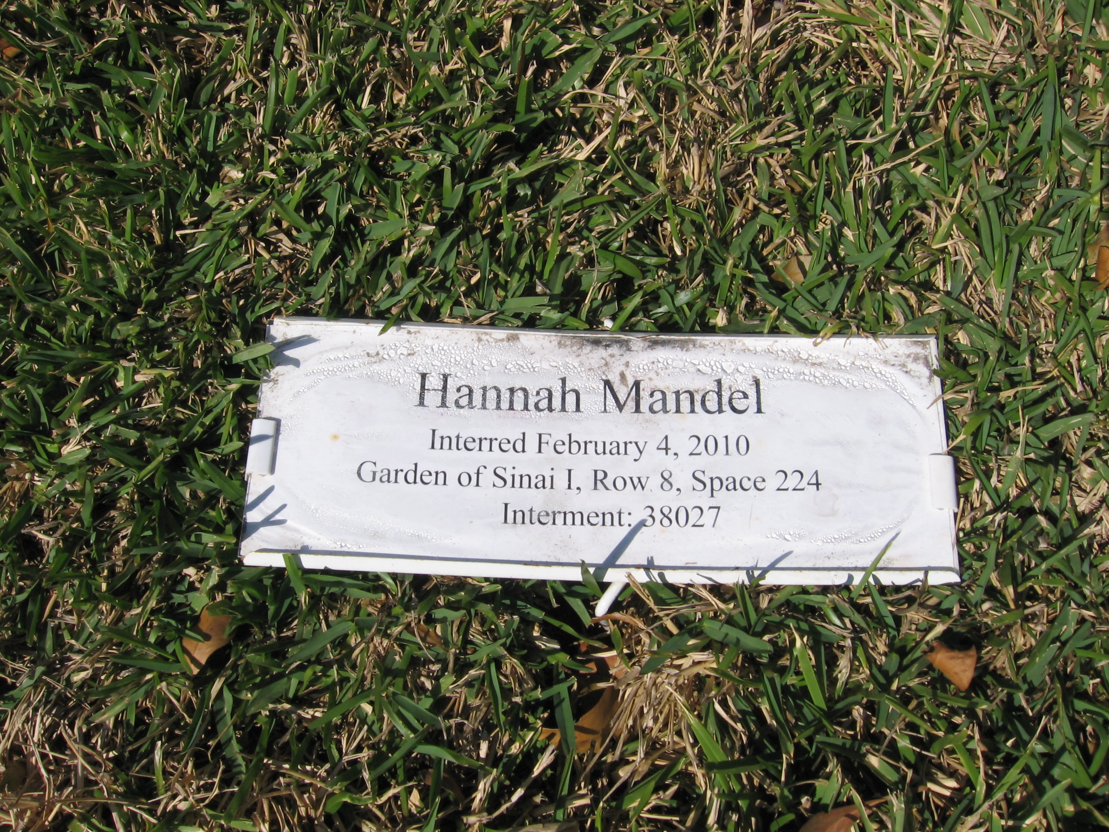 Hannah Mandel