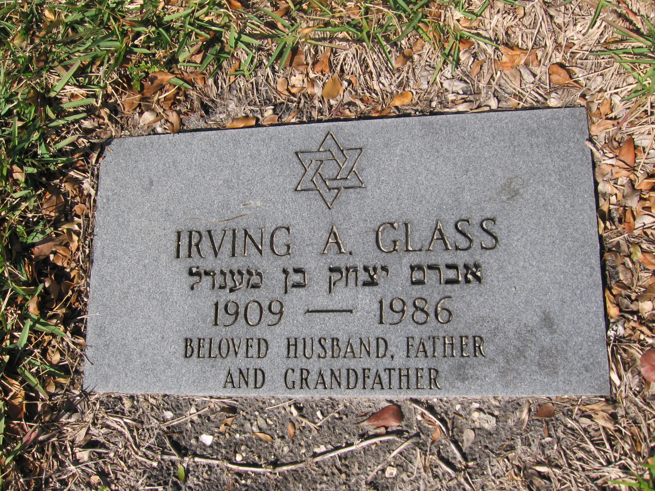 Irving A Glass