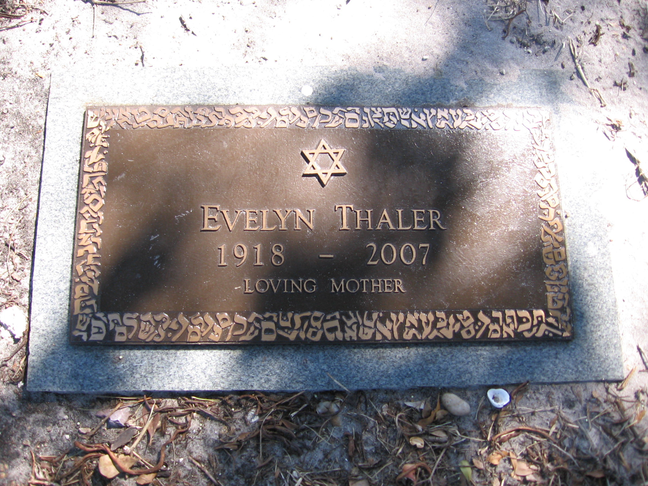 Evelyn Thaler