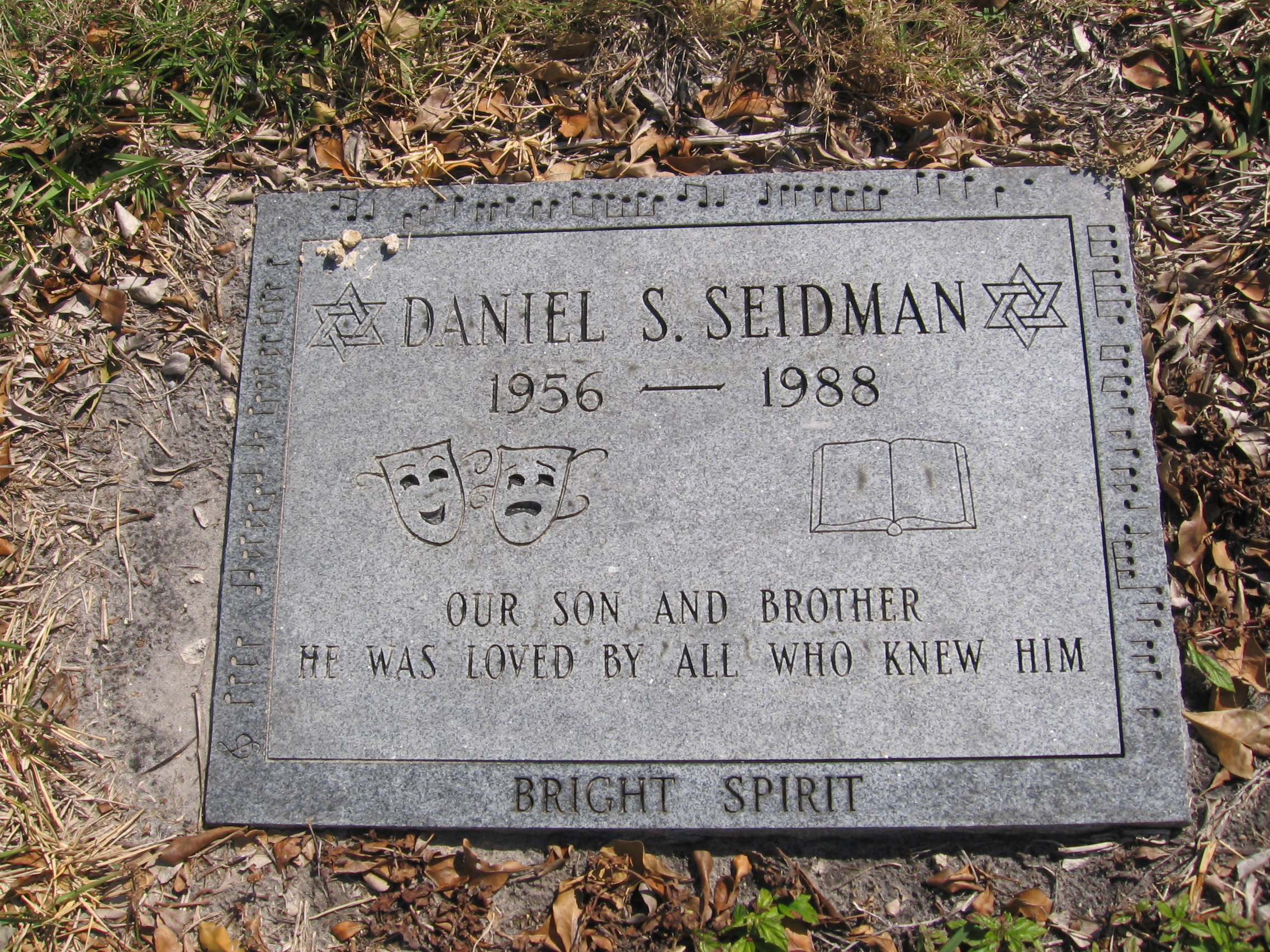 Daniel S Seidman