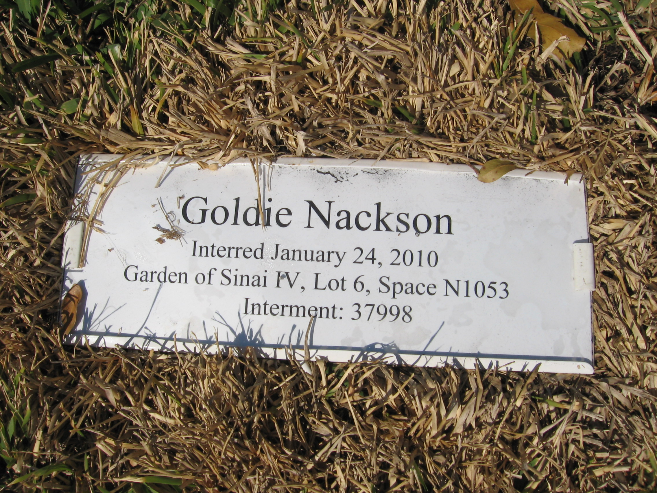 Goldie Nackson