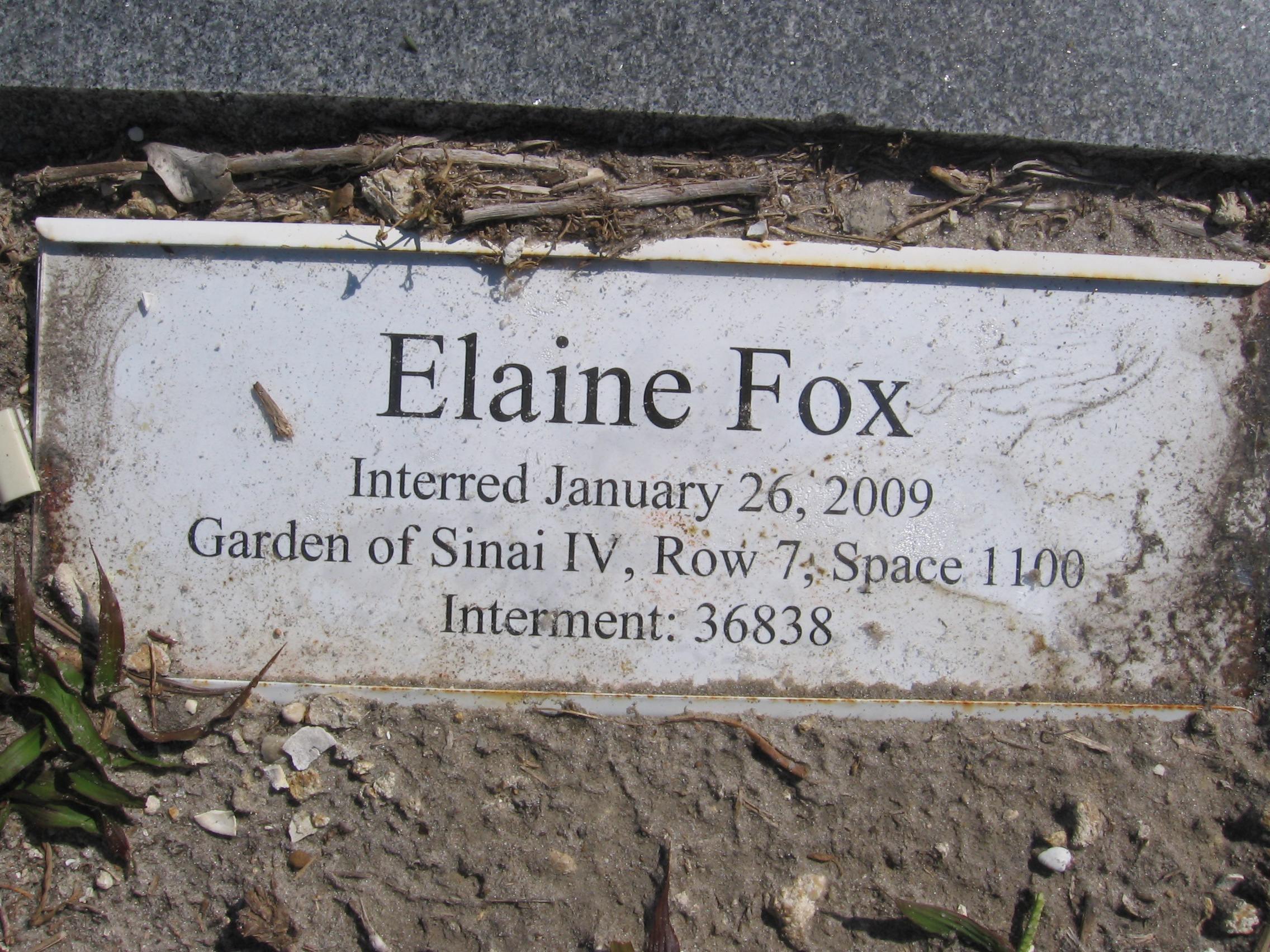 Elaine Fox