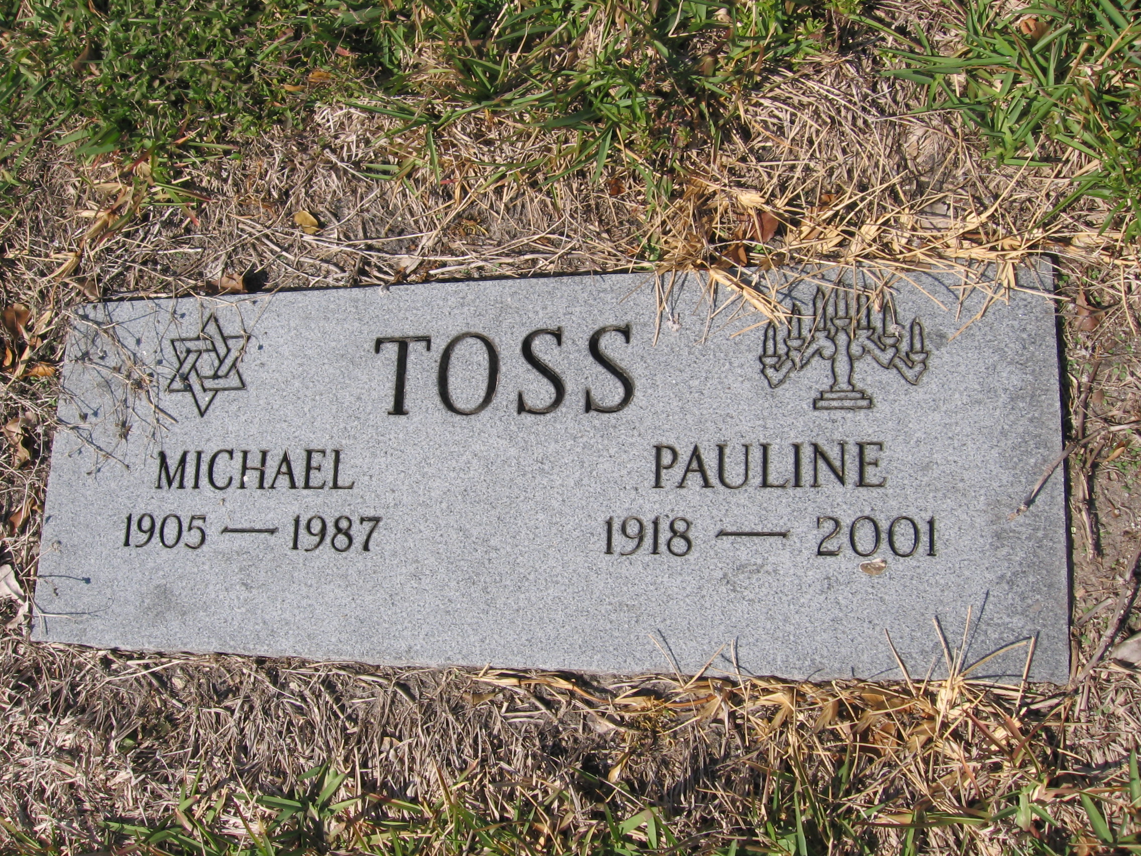 Michael Toss