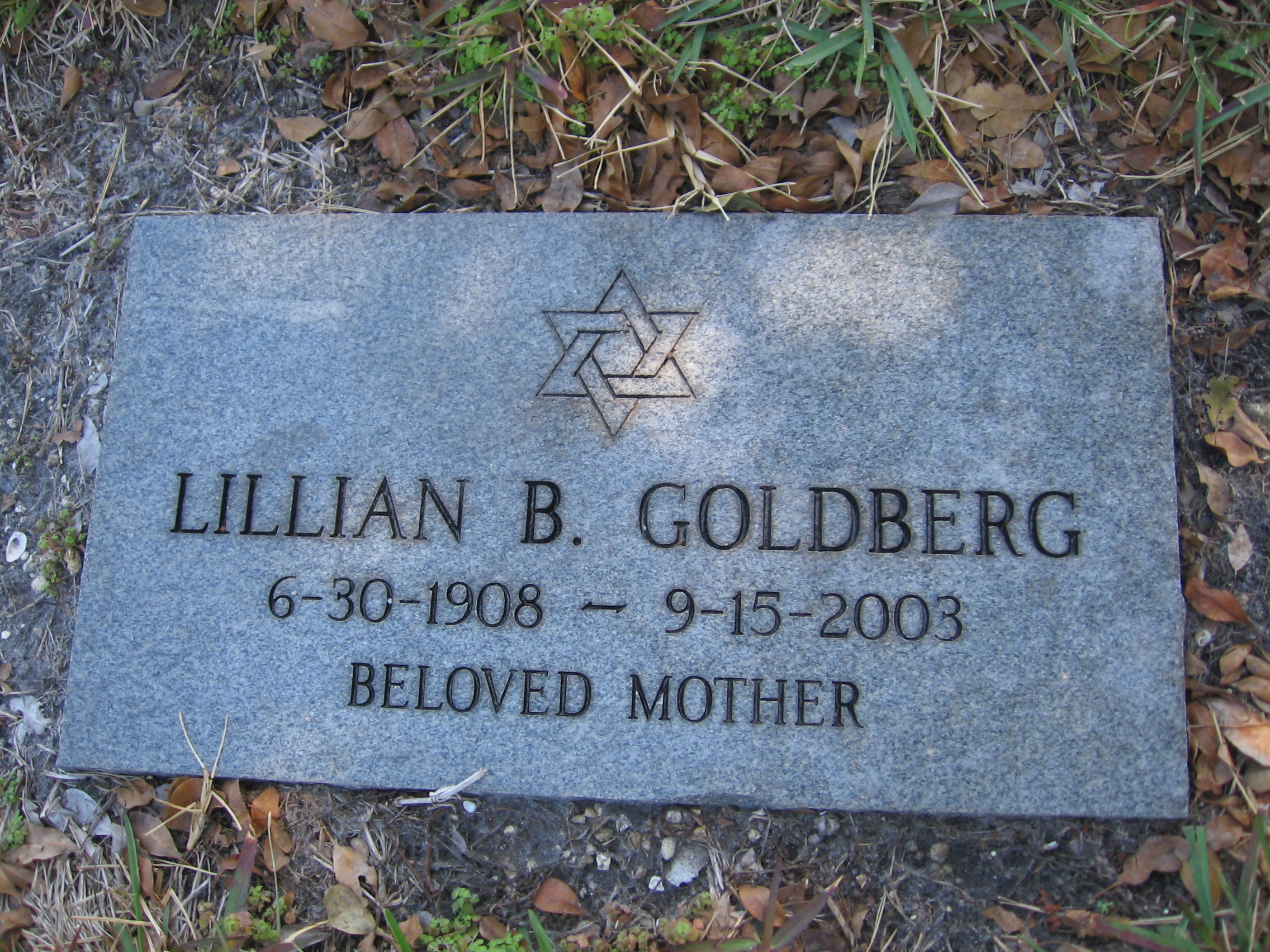 Lillian B Goldberg